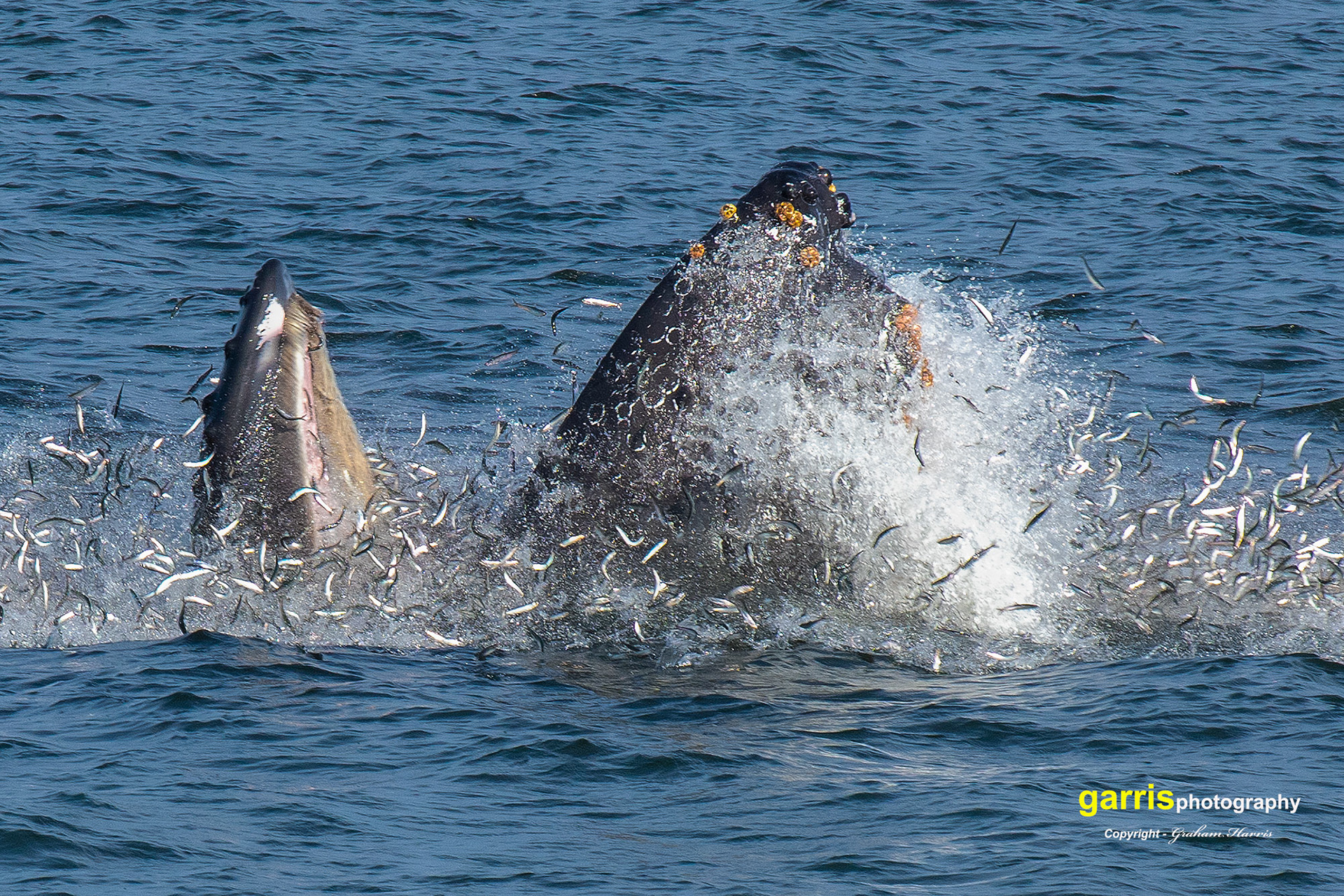 Off Monterey, California