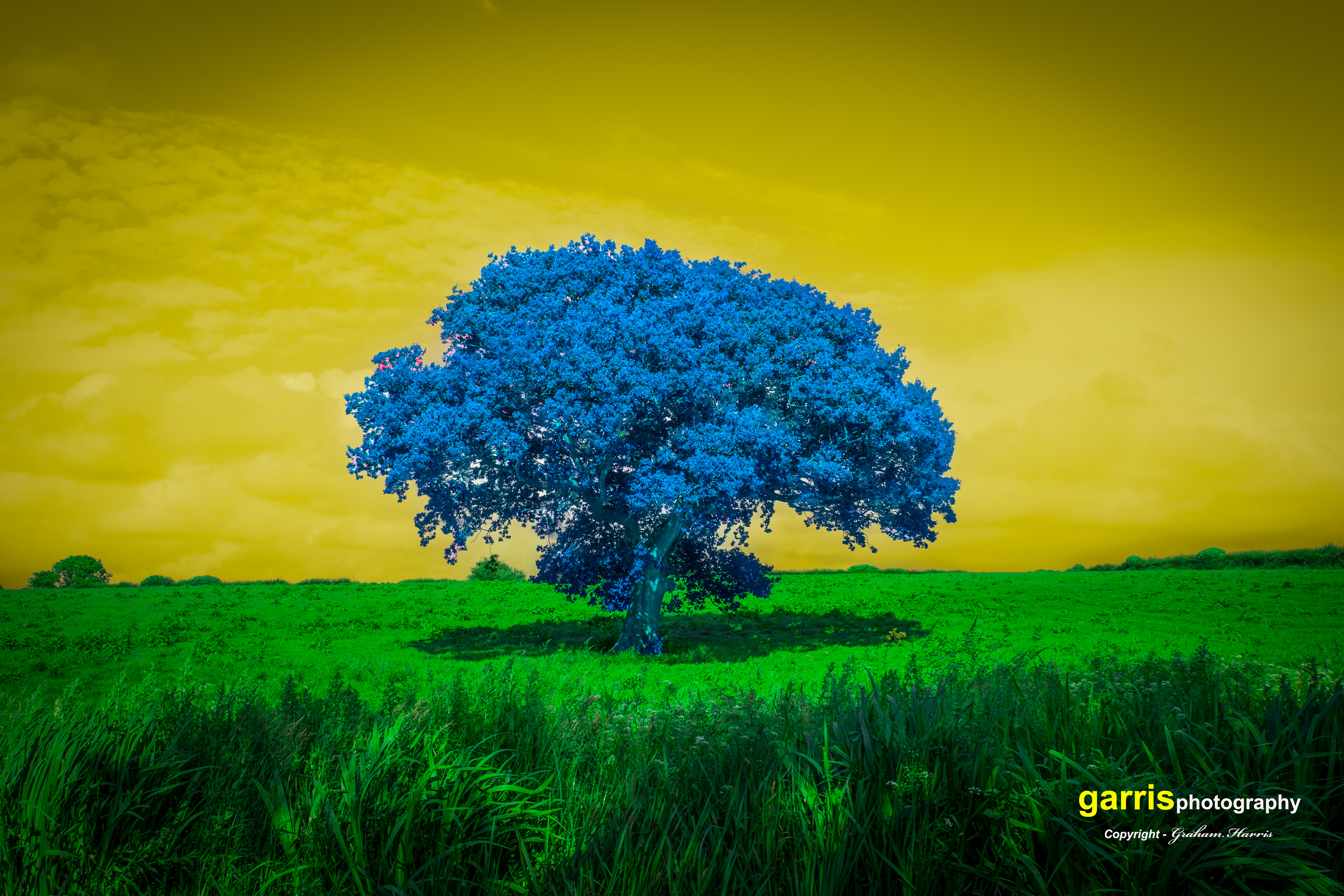 Shropshire Canal, UK