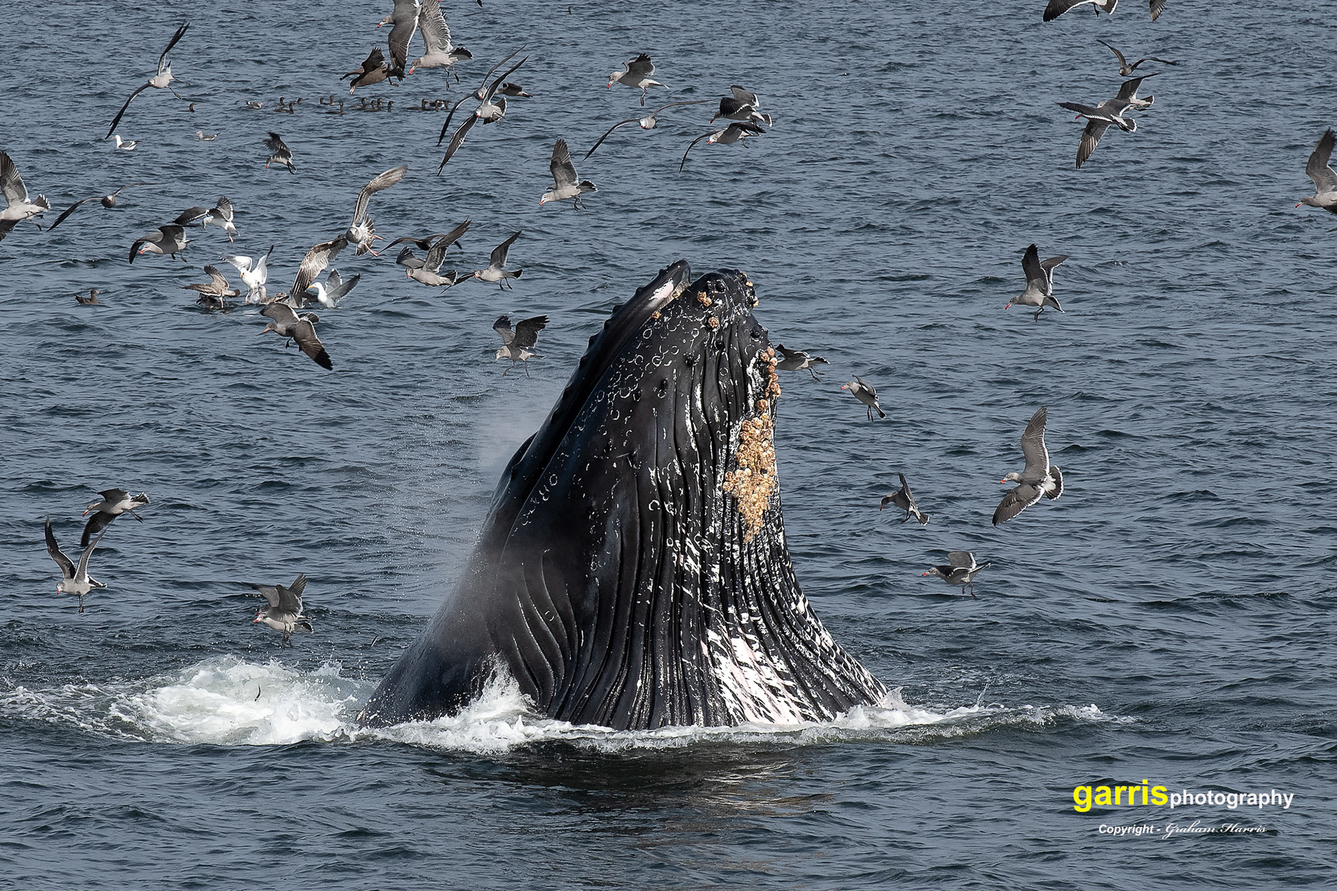 Off Monterey, California