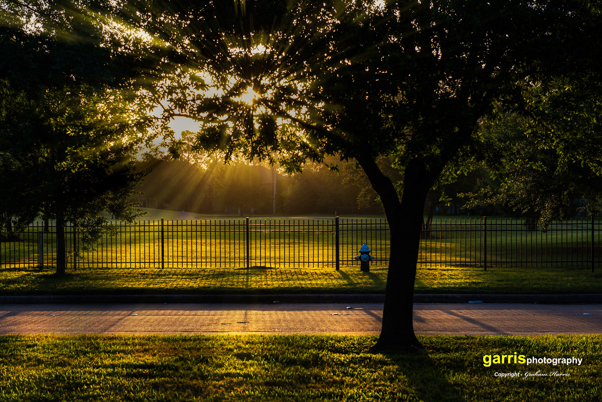 Opposite my old House