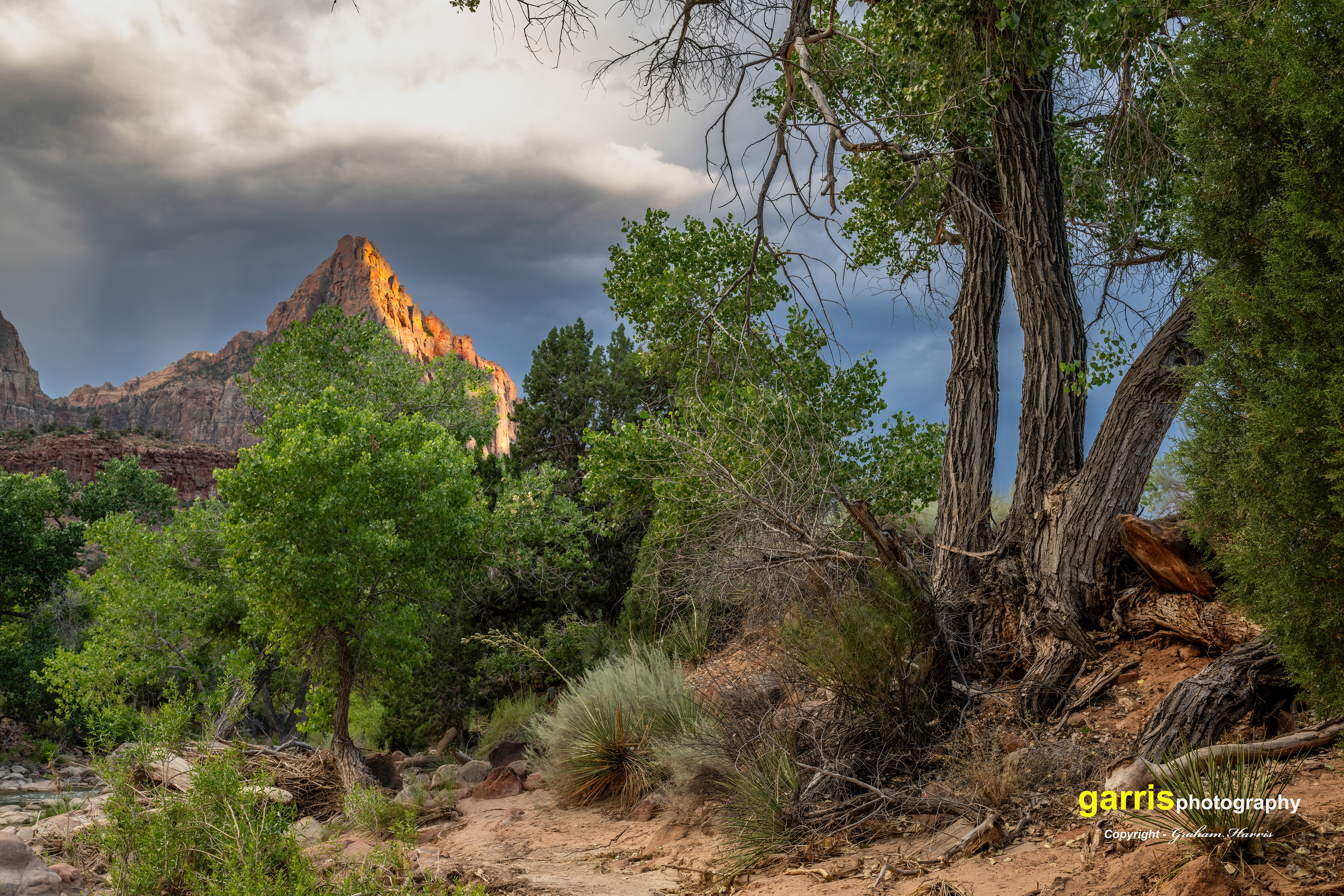 Zion National Park, Utah
