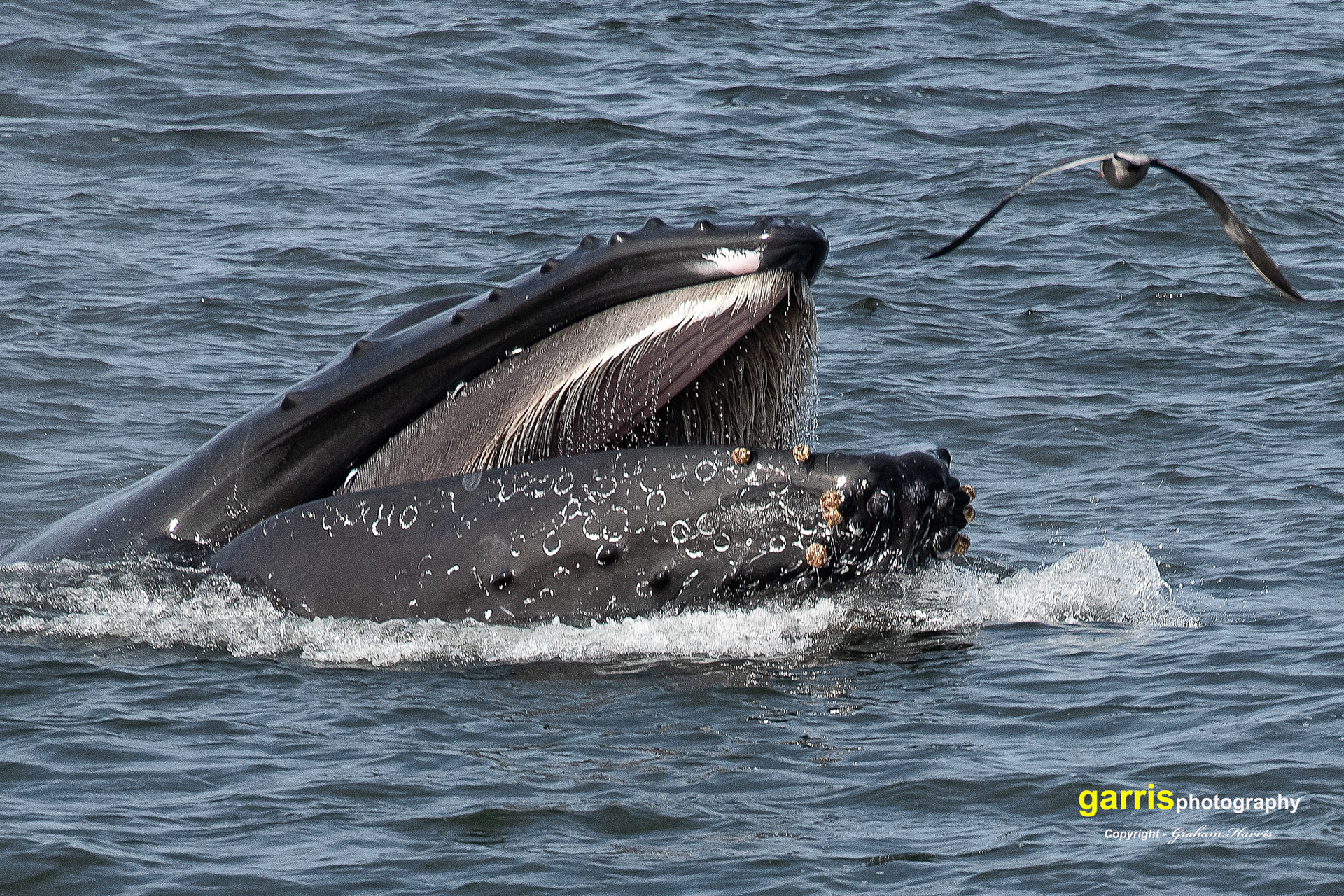 Off Monterey, California