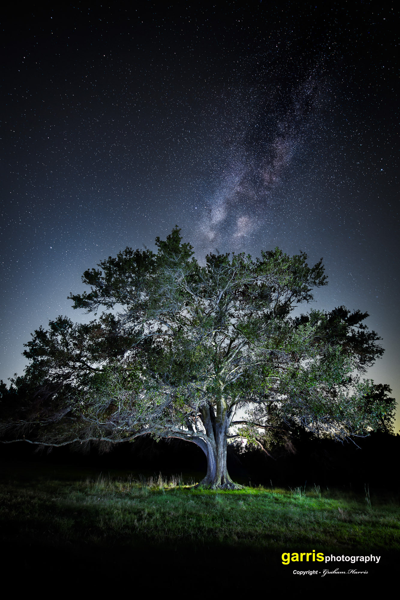 Billington's Ranch, Brenham, Texas