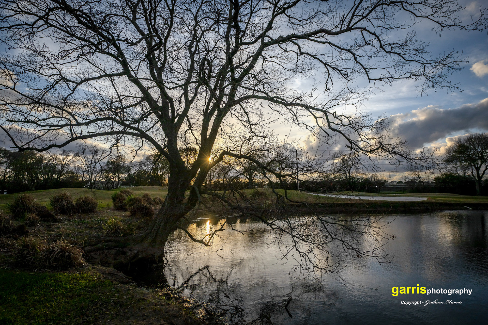 Hearthstone, Houston, Texas