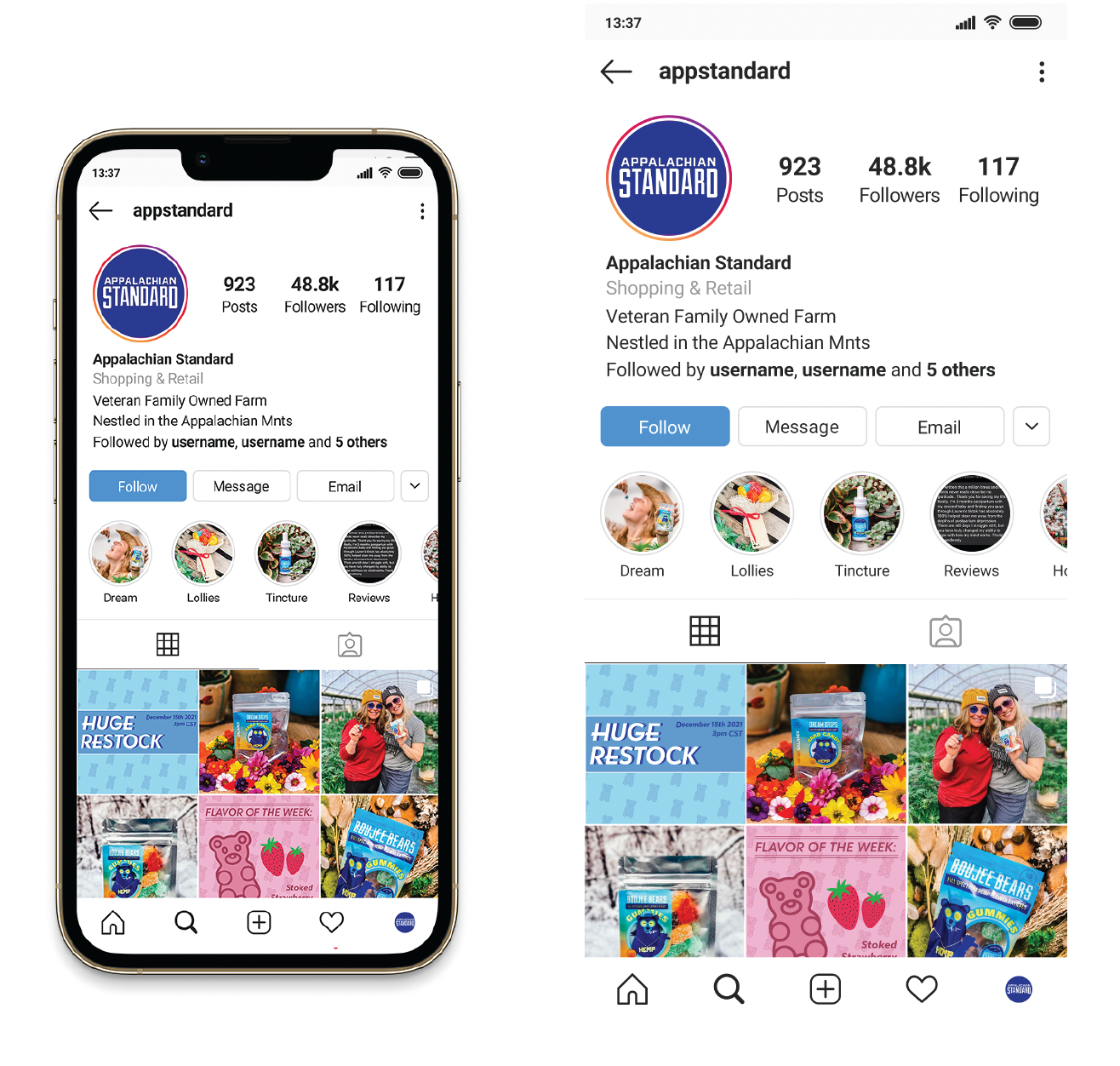 Instagram Feed Mockup