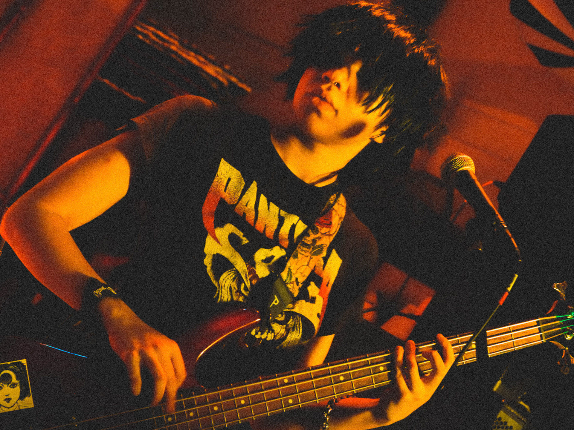 Lost in St. Pete Festival 2021