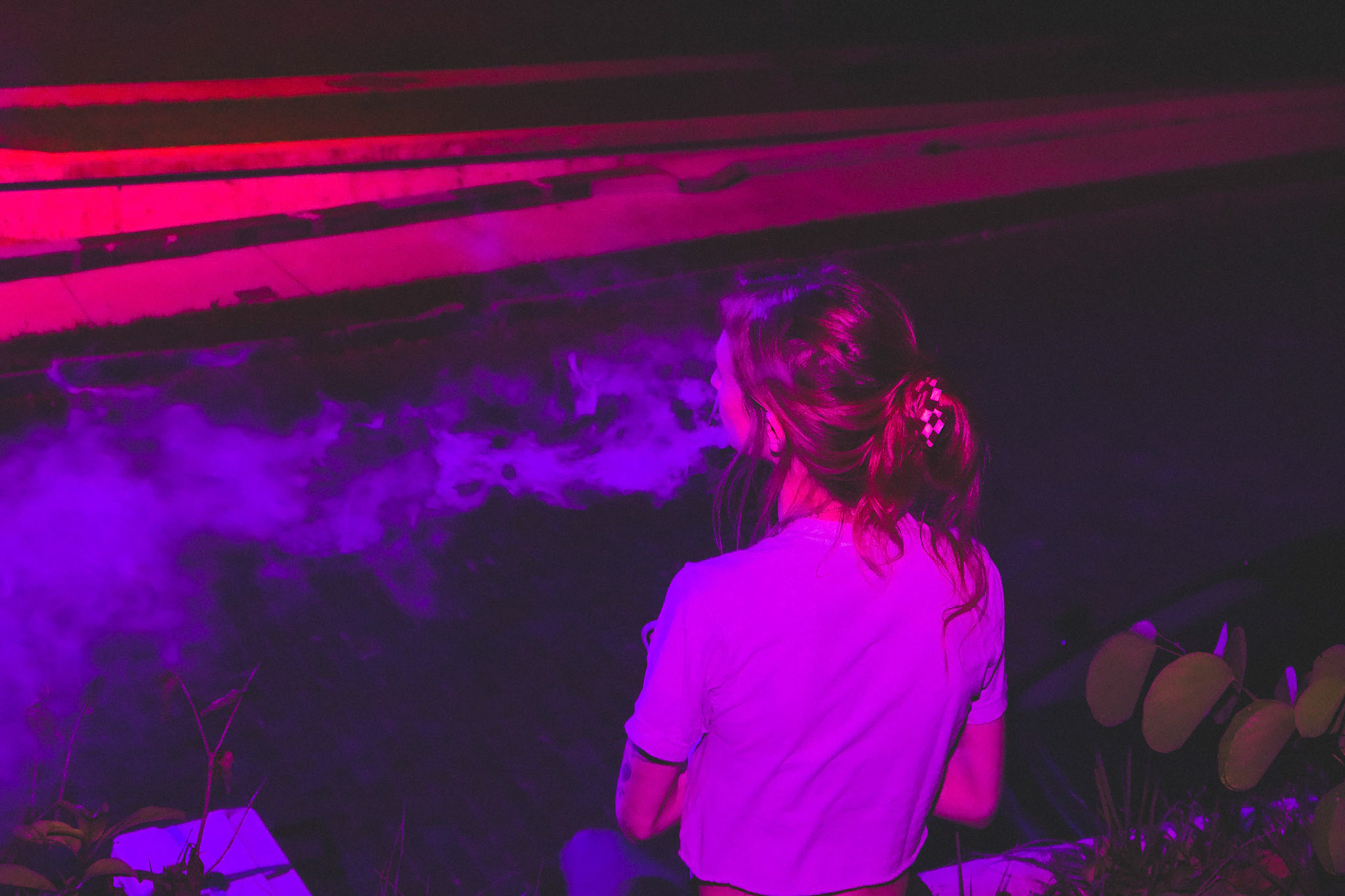 Downtown St. Petersburg, FL Photo