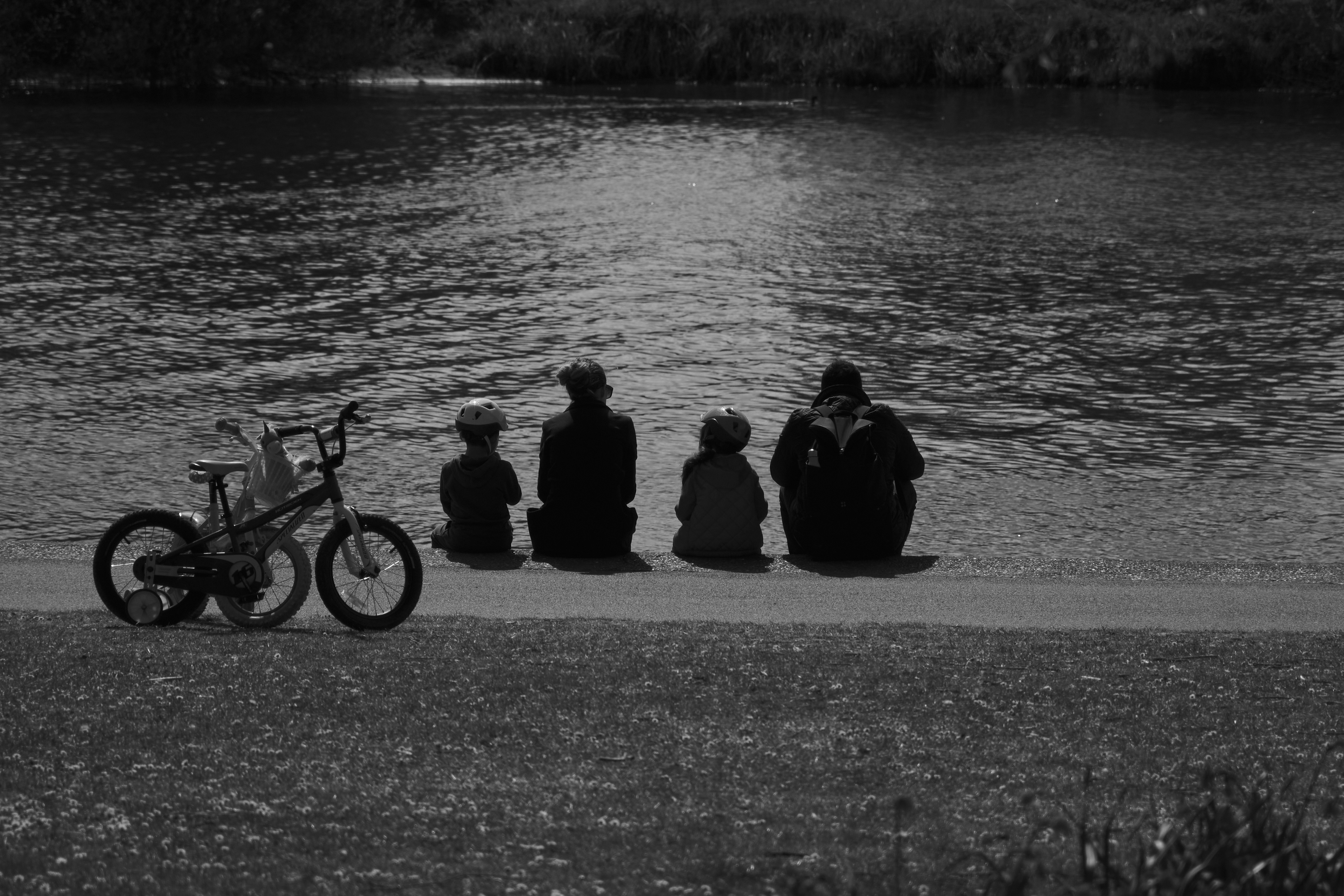 Fujifilm XT-4 XF16-80mmF4 OIS WR, F/4, ISO 250, 1/4000 sec