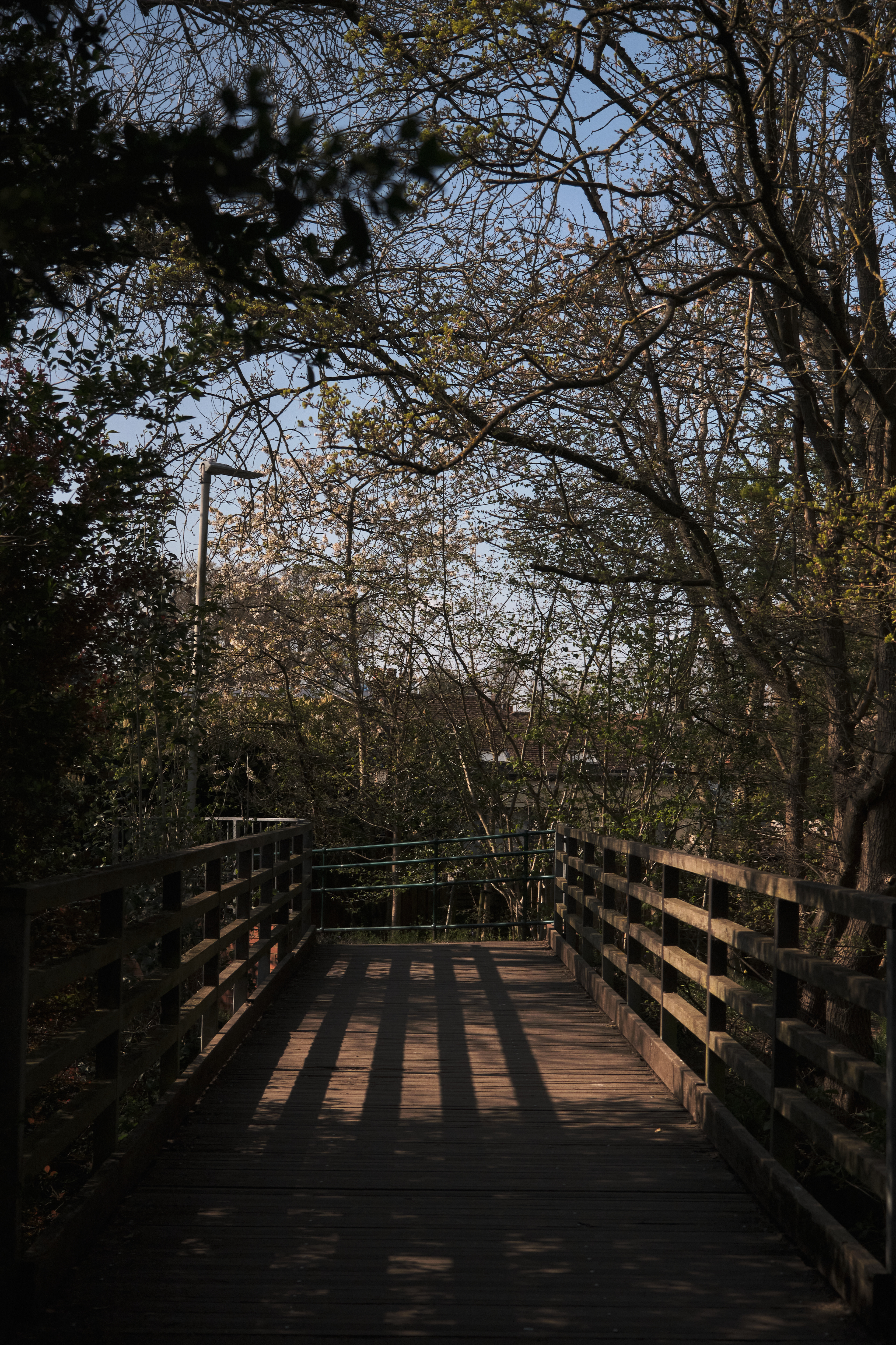 Fujifilm XT-4 XF16-80mmF4 OIS WR, F/4, ISO 640, 1/8000 sec