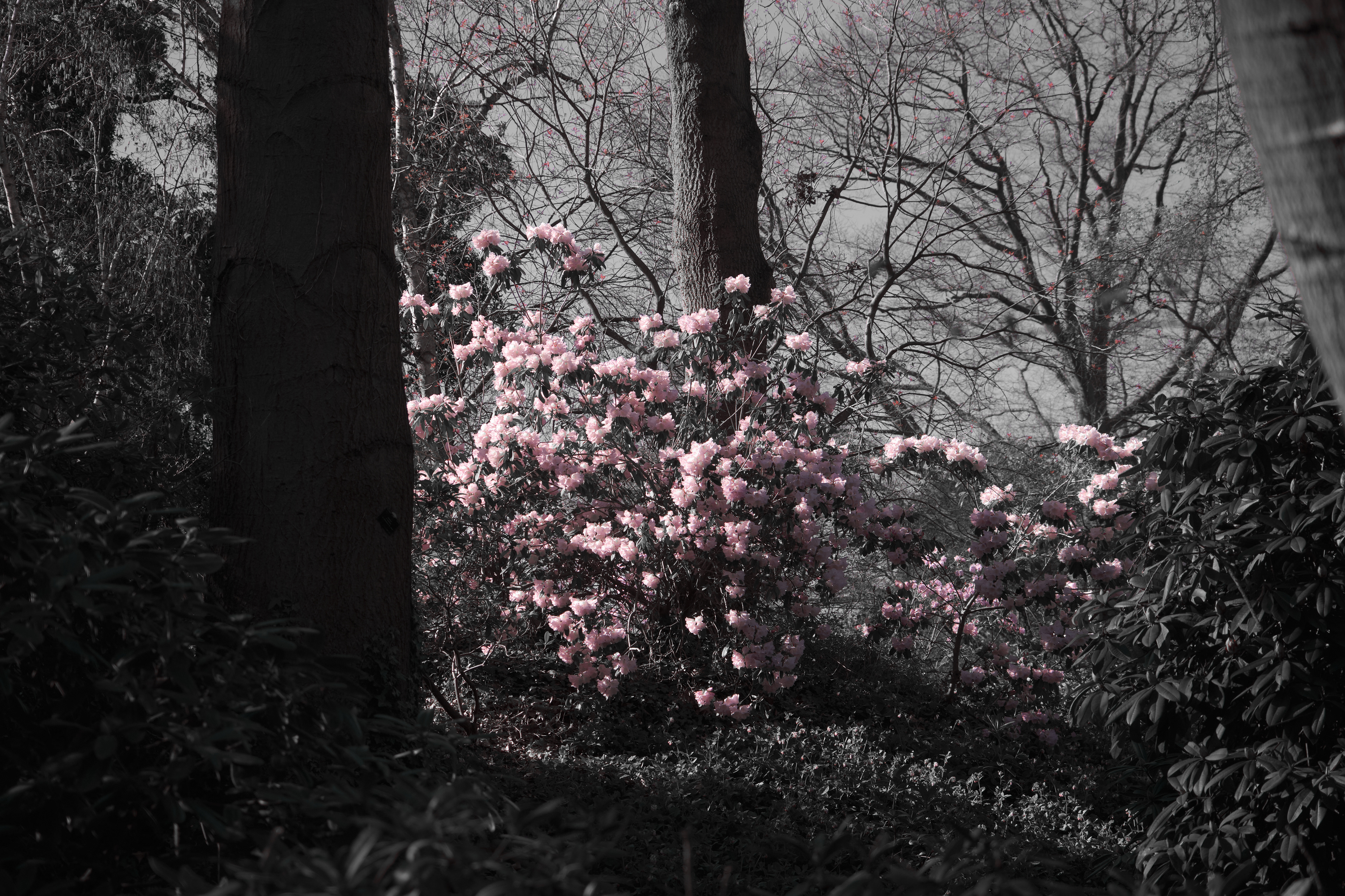 Fujifilm XT-4 XF16-80mmF4 OIS WR, F/4, ISO 200, 1/1000 sec