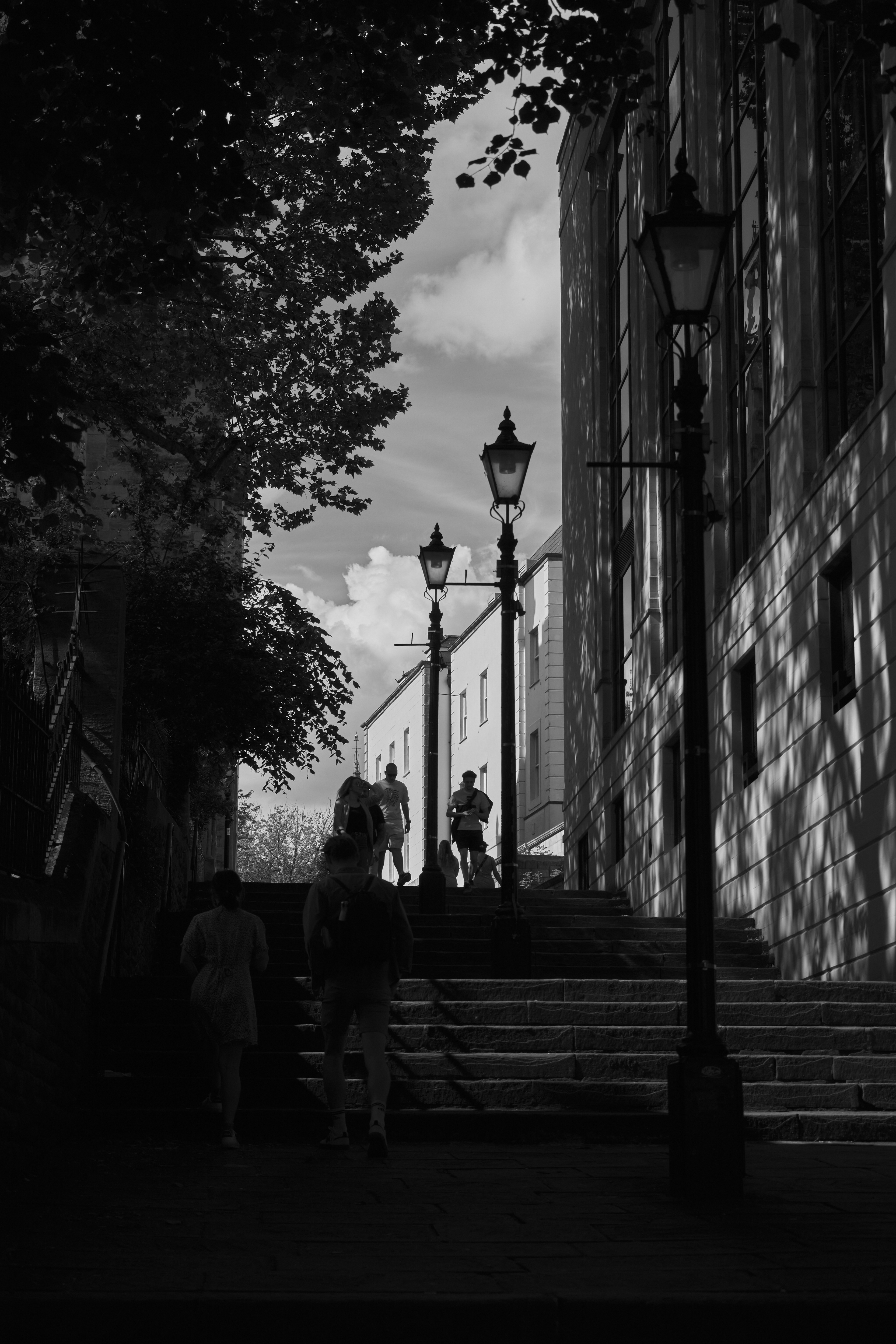 Fujifilm XT-4 XF16-80mmF4 OIS WR, F/4.5, ISO 200, 1/2000 sec