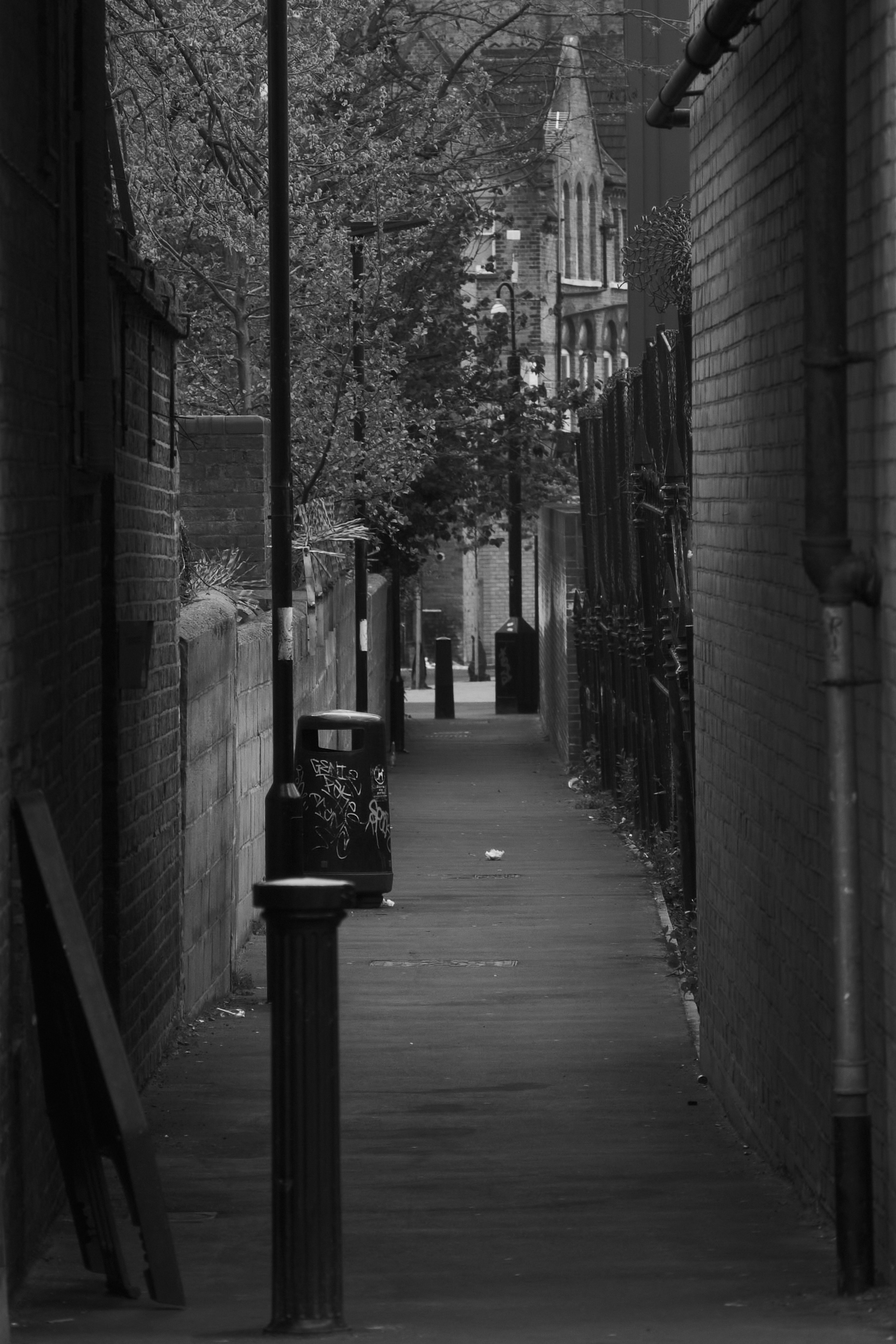 Fujifilm XT-4 XF16-80mmF4 OIS WR, F/4, ISO 250, 1/1000 sec