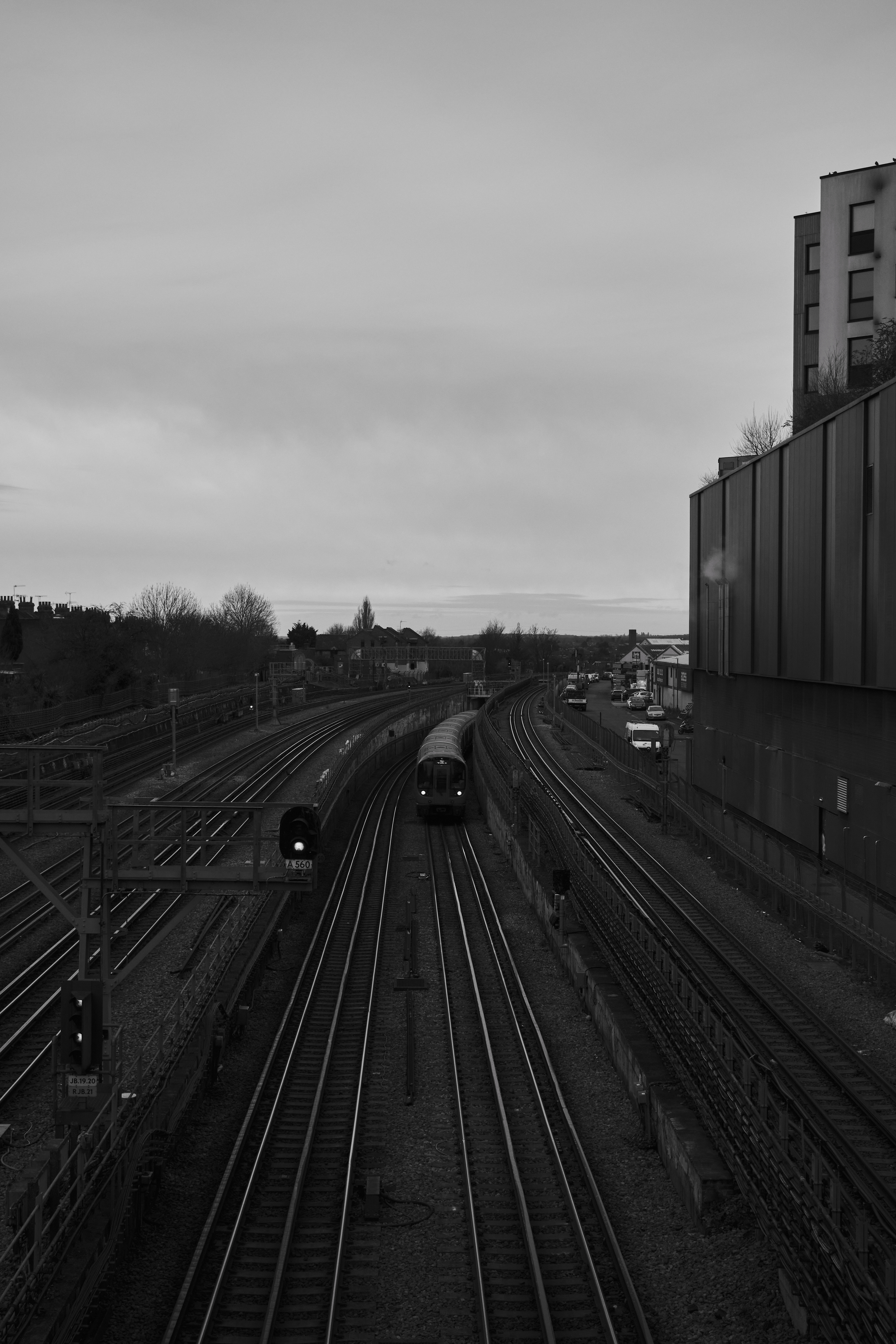 Fujifilm XT-4 XF16-80mmF4 OIS WR, F/4, ISO 1250, 1/1600 sec