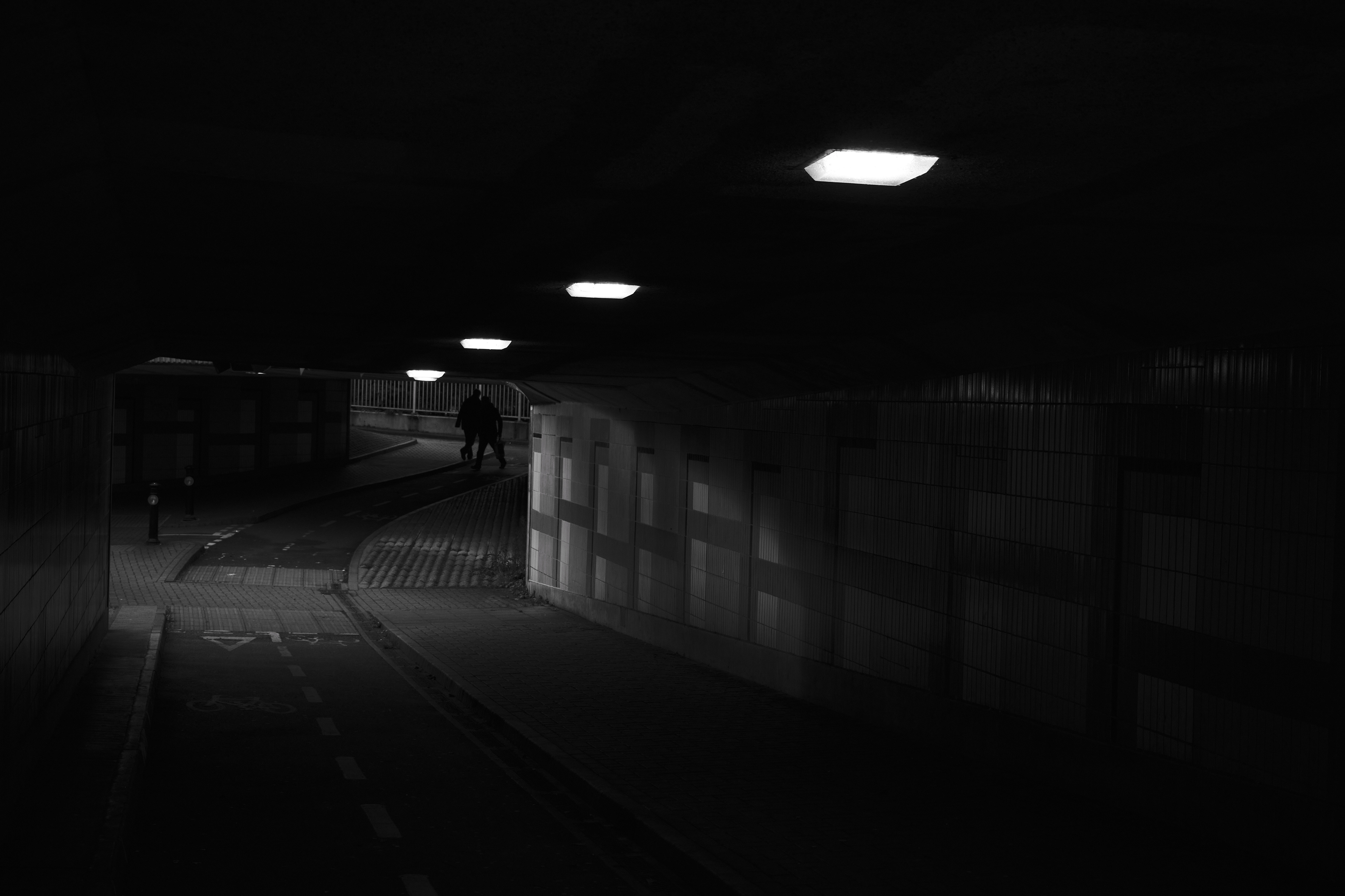 Fujifilm XT-4 XF16-80mmF4 OIS WR, F/4, ISO 1250, 1/500 sec