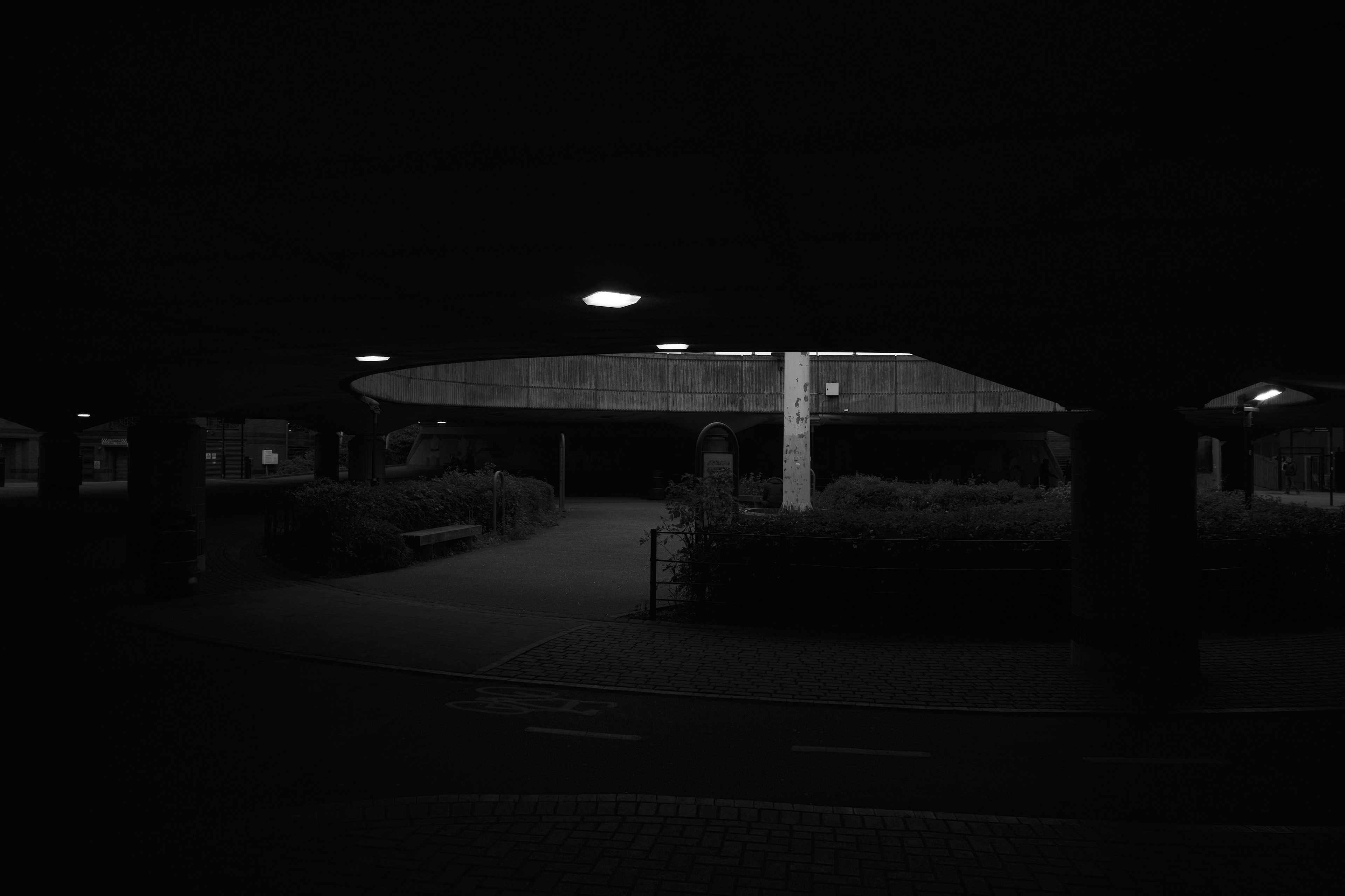 Fujifilm XT-4 XF16-80mmF4 OIS WR, F/4, ISO 1250, 1/1000 sec