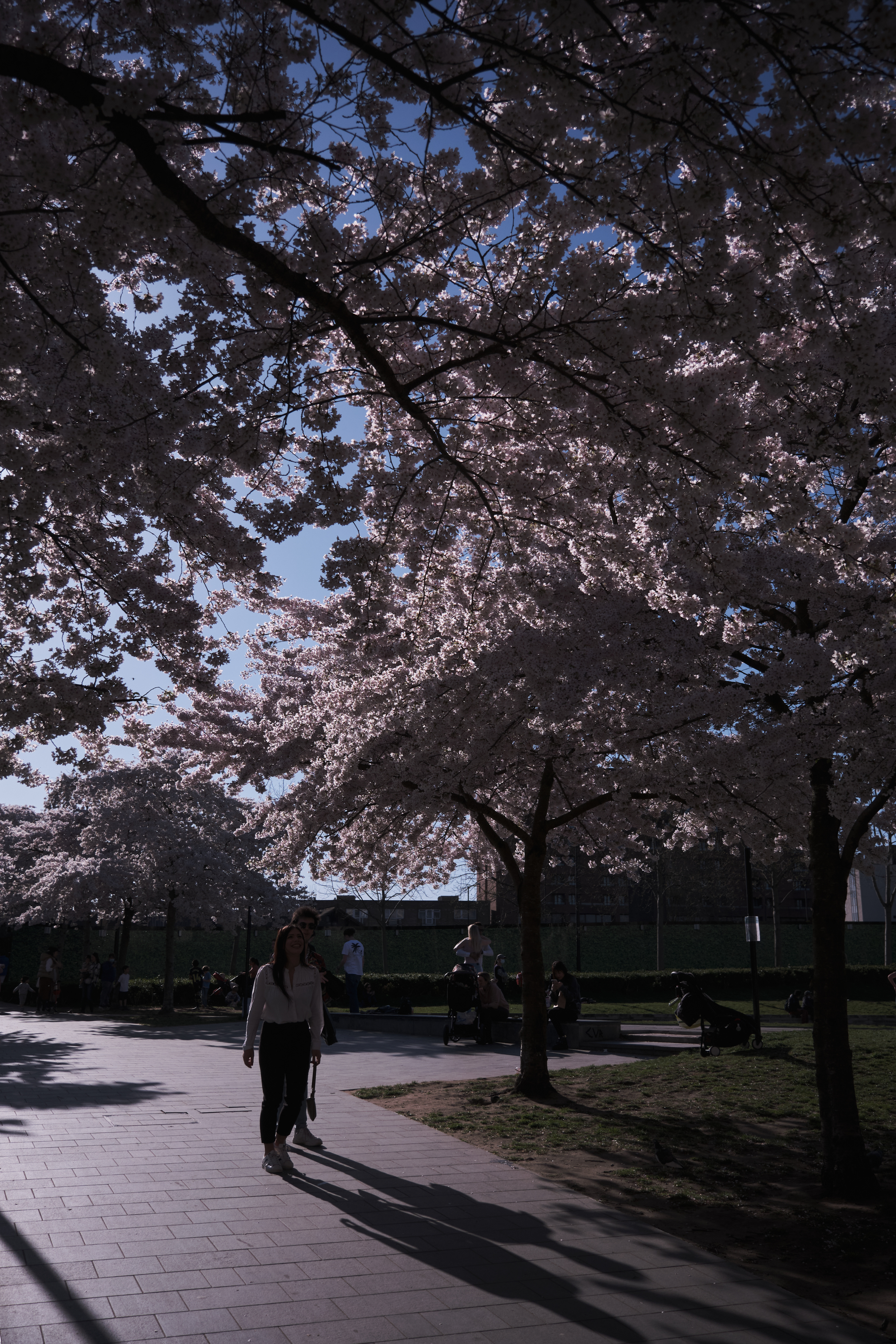 Fujifilm XT-4 XF16-80mmF4 OIS WR, F/4, ISO 200, 1/4000 sec