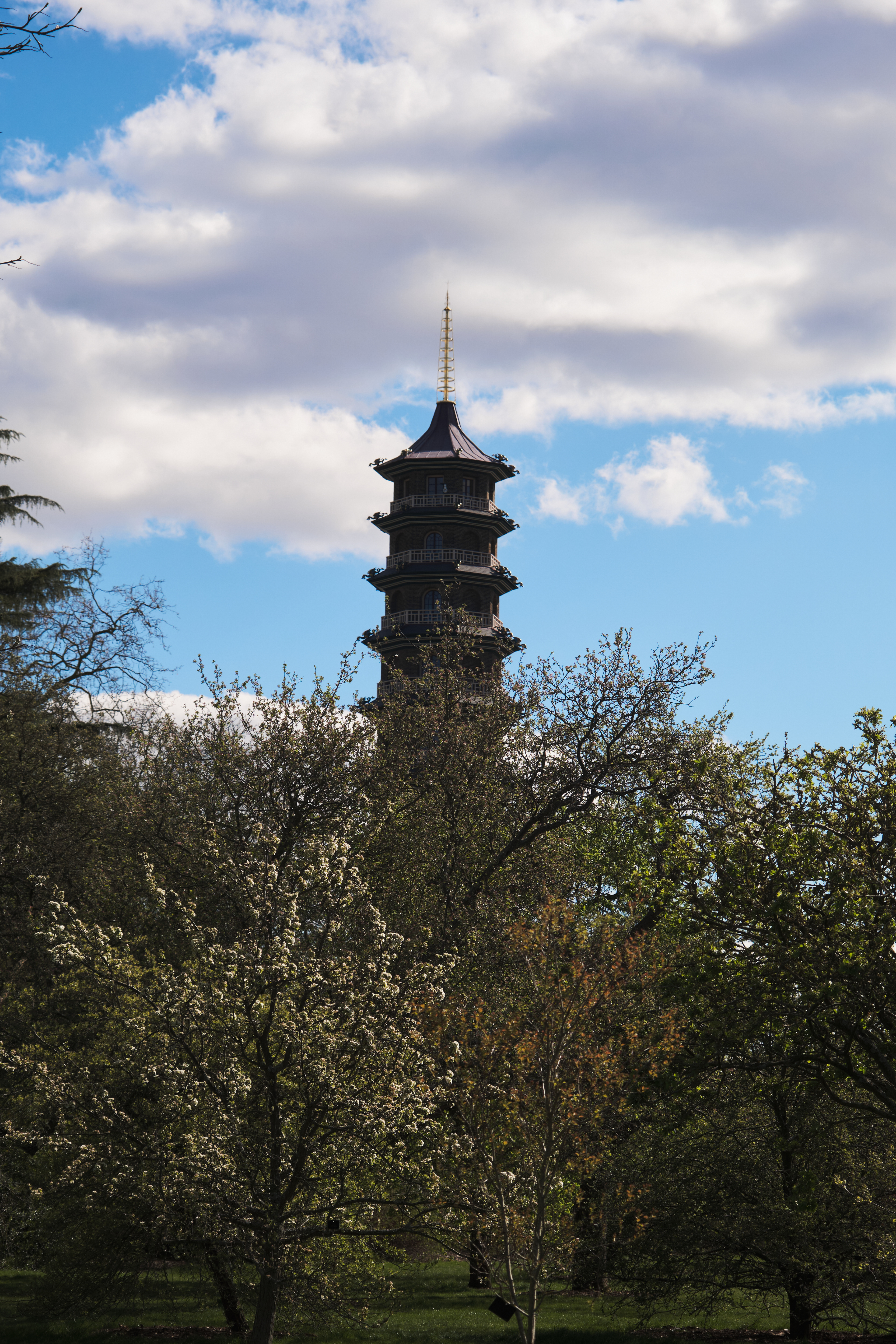 Fujifilm XT-4 XF16-80mmF4 OIS WR, F/4, ISO 200, 1/2000 sec