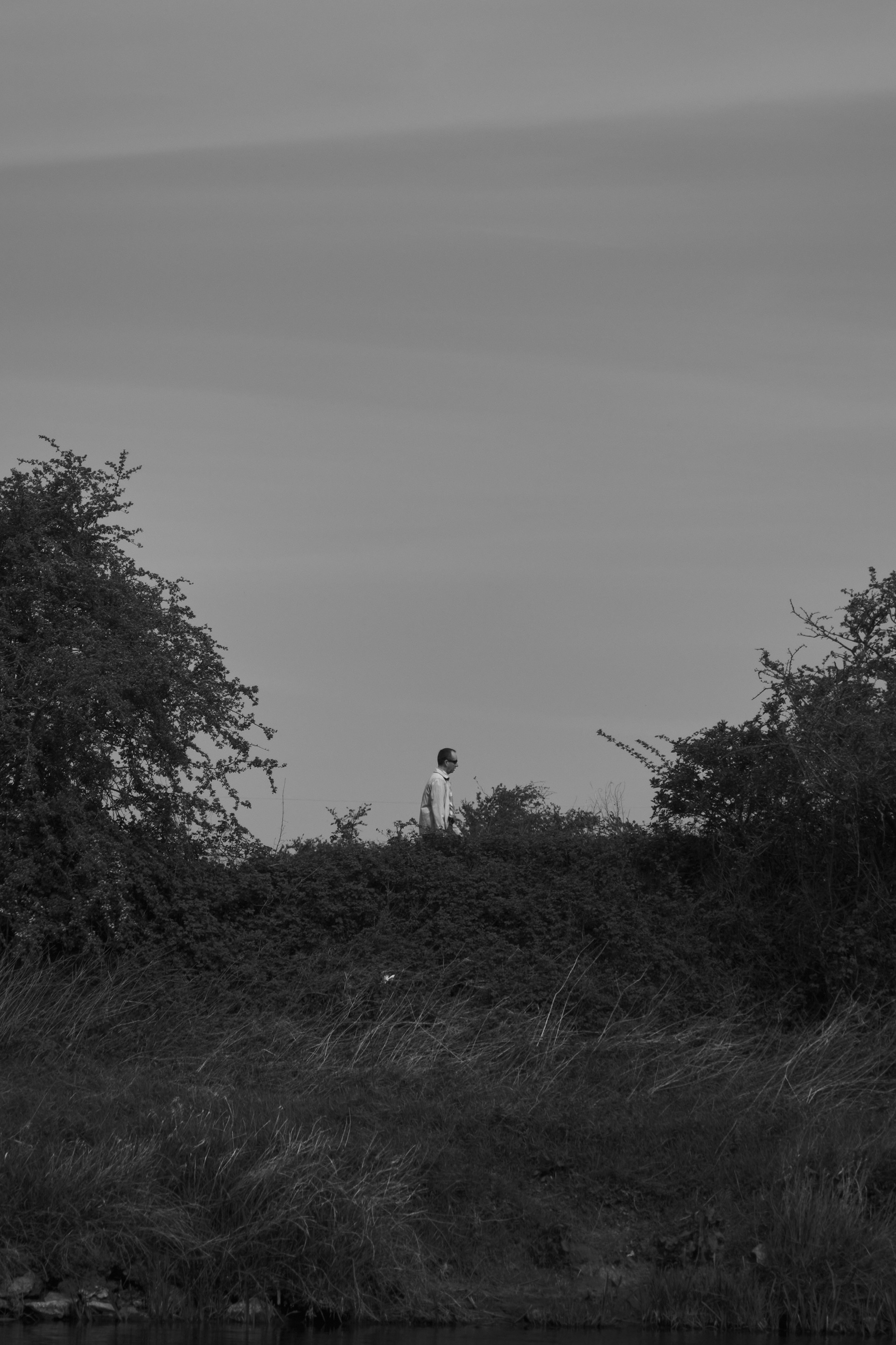 Fujifilm XT-4 XF16-80mmF4 OIS WR, F/4, ISO 200, 1/4000 sec