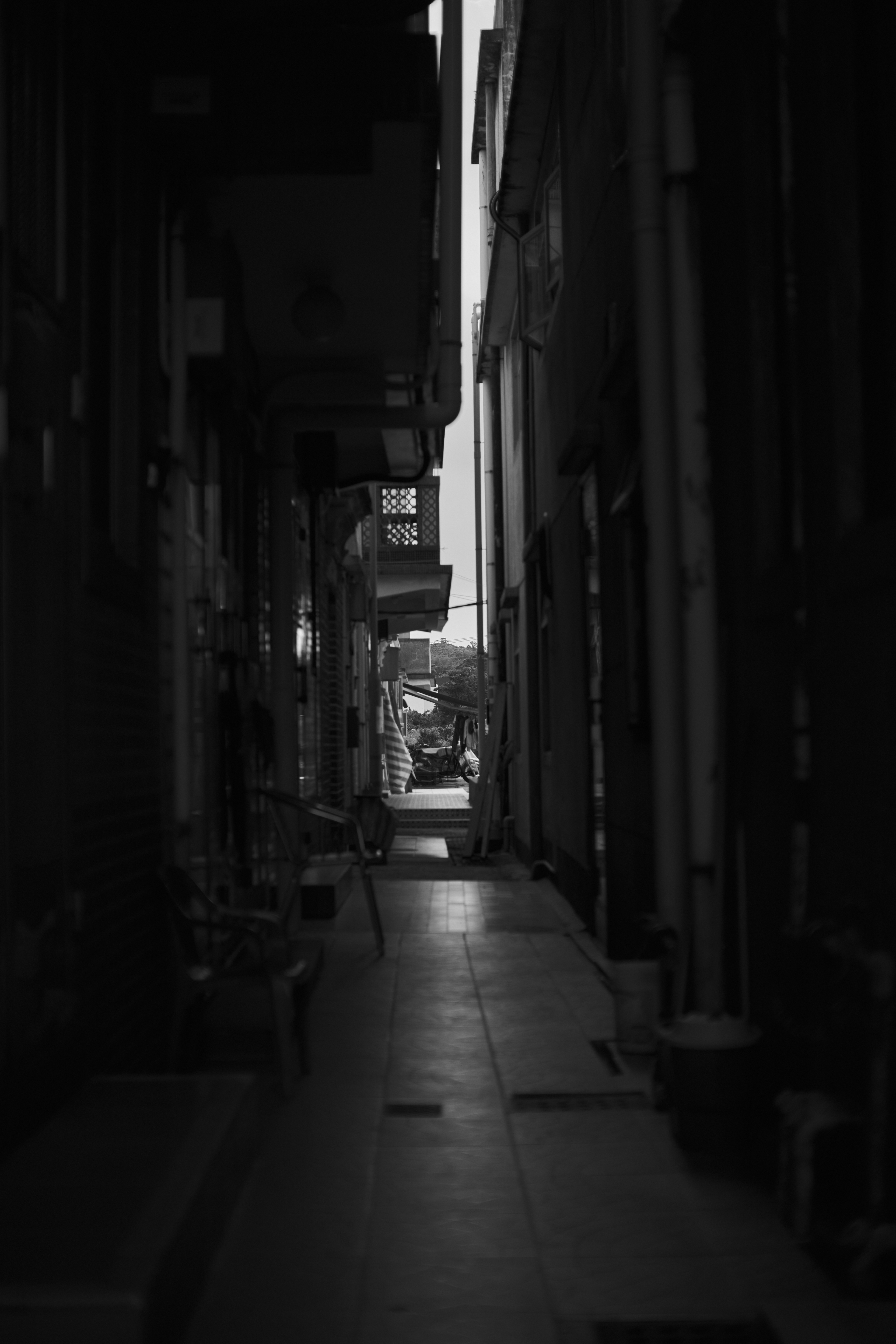 Fujifilm XT-4 Argus CF33mmF/0.95 APO, F/1.4, ISO 200, 1/2000 sec