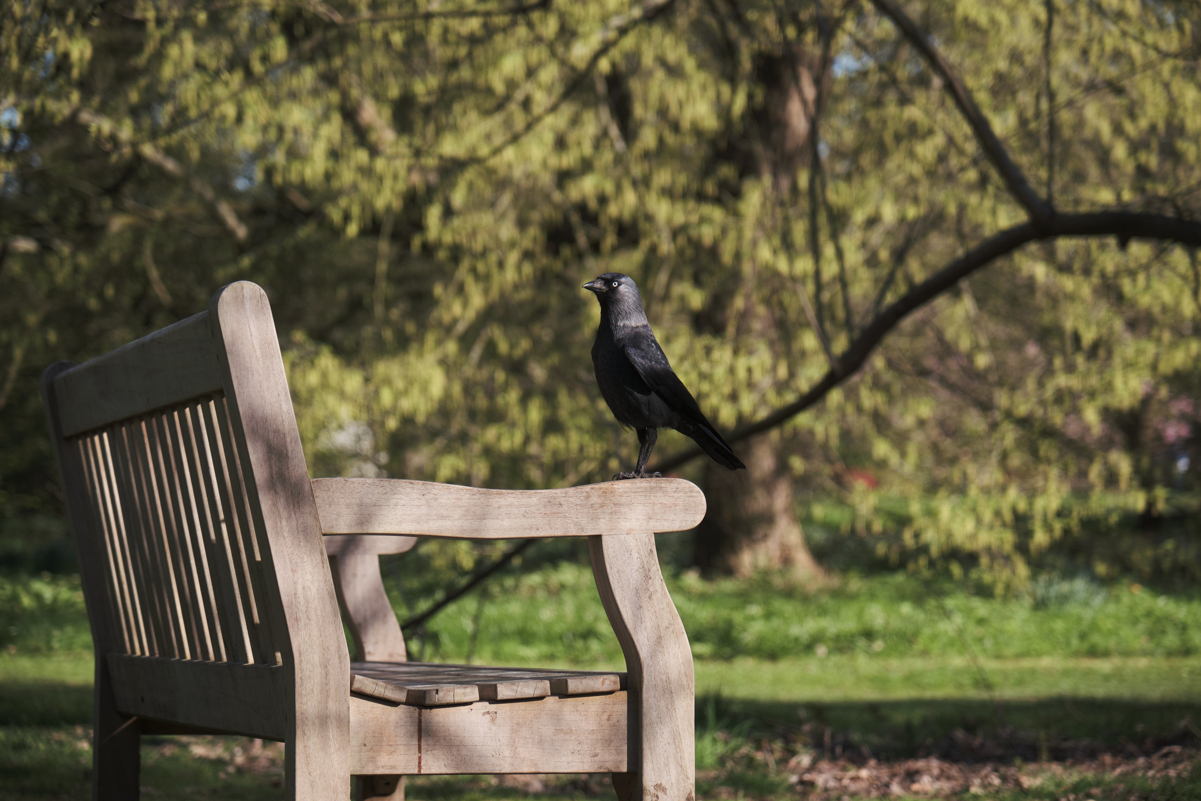 Fujifilm XT-4 XF16-80mmF4 OIS WR, F/4, ISO 200, 1/500 sec