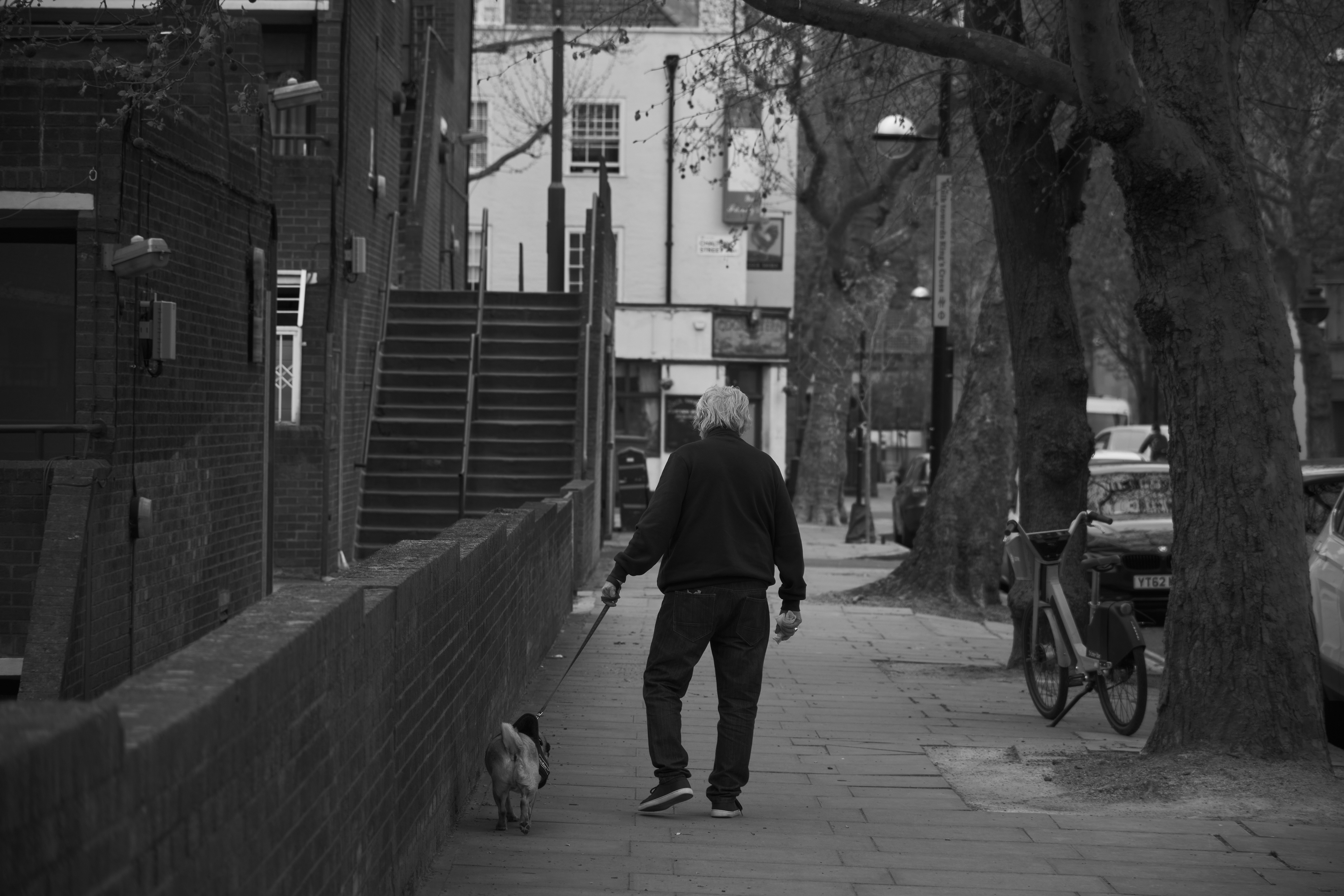 Fujifilm XT-4 XF16-80mmF4 OIS WR, F/4, ISO 250, 1/500 sec