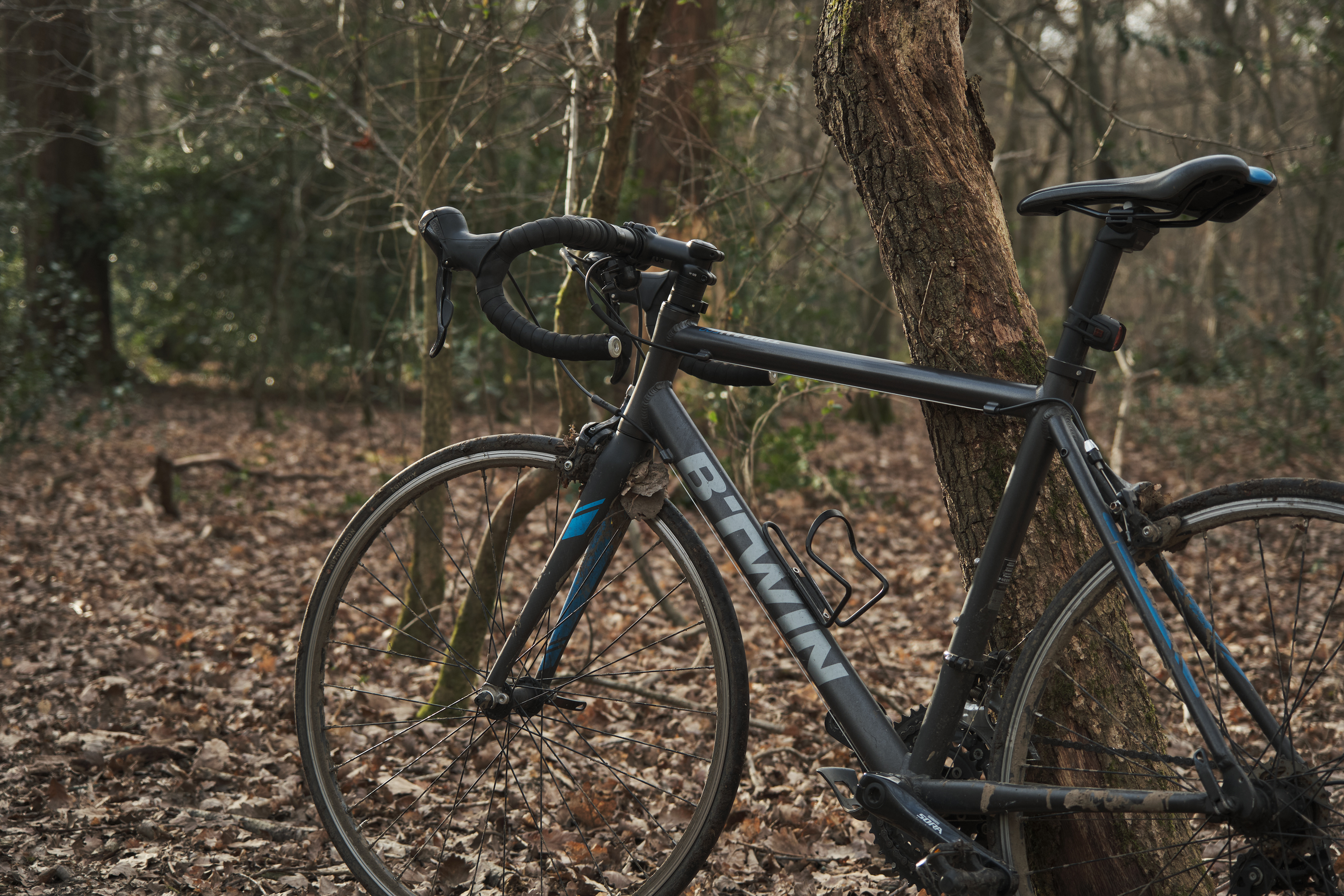 Fujifilm XT-4 XF16-80mmF4 OIS WR, F/4, ISO 250, 1/160 sec