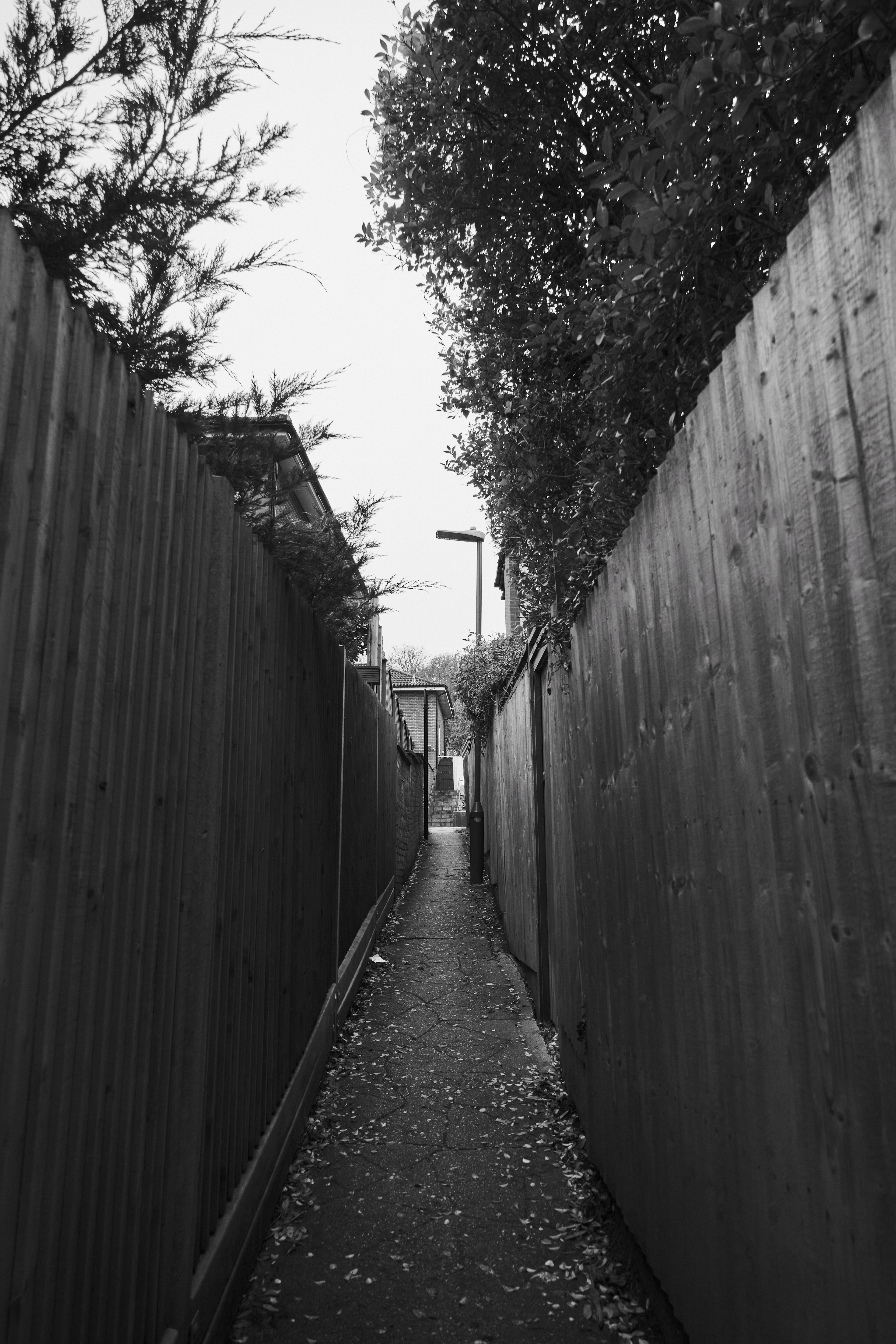 Fujifilm XT-4 XF16-80mmF4 OIS WR, F/4, ISO 1250, 1/200 sec