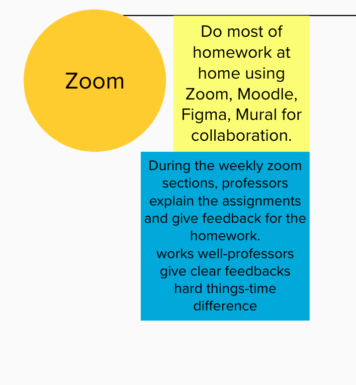 Student's experience with Zoom