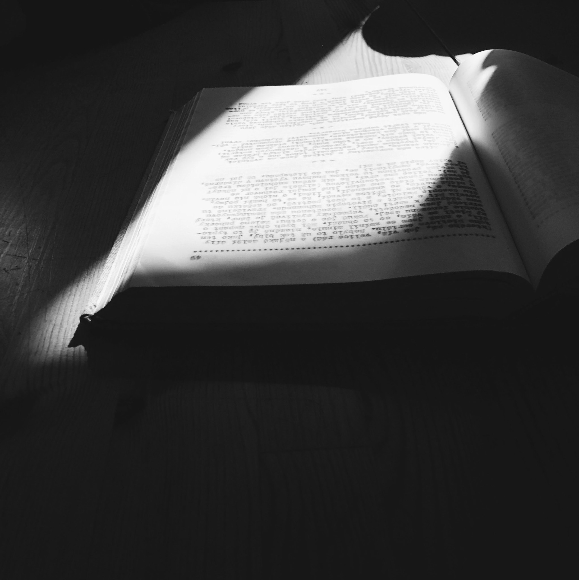 Processed with VSCO with b5 preset