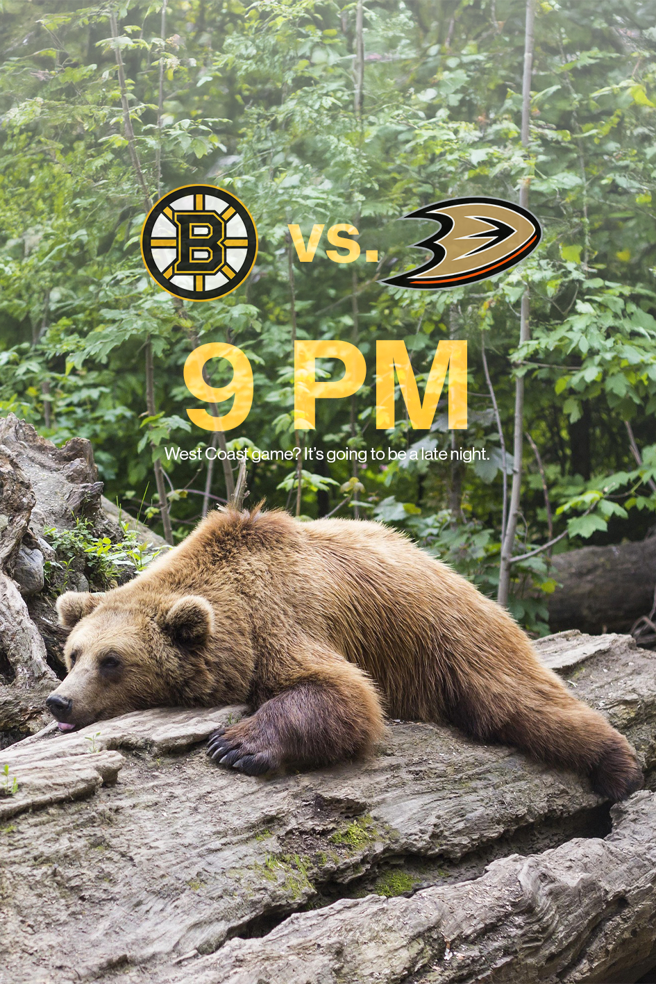 Boston Bruins