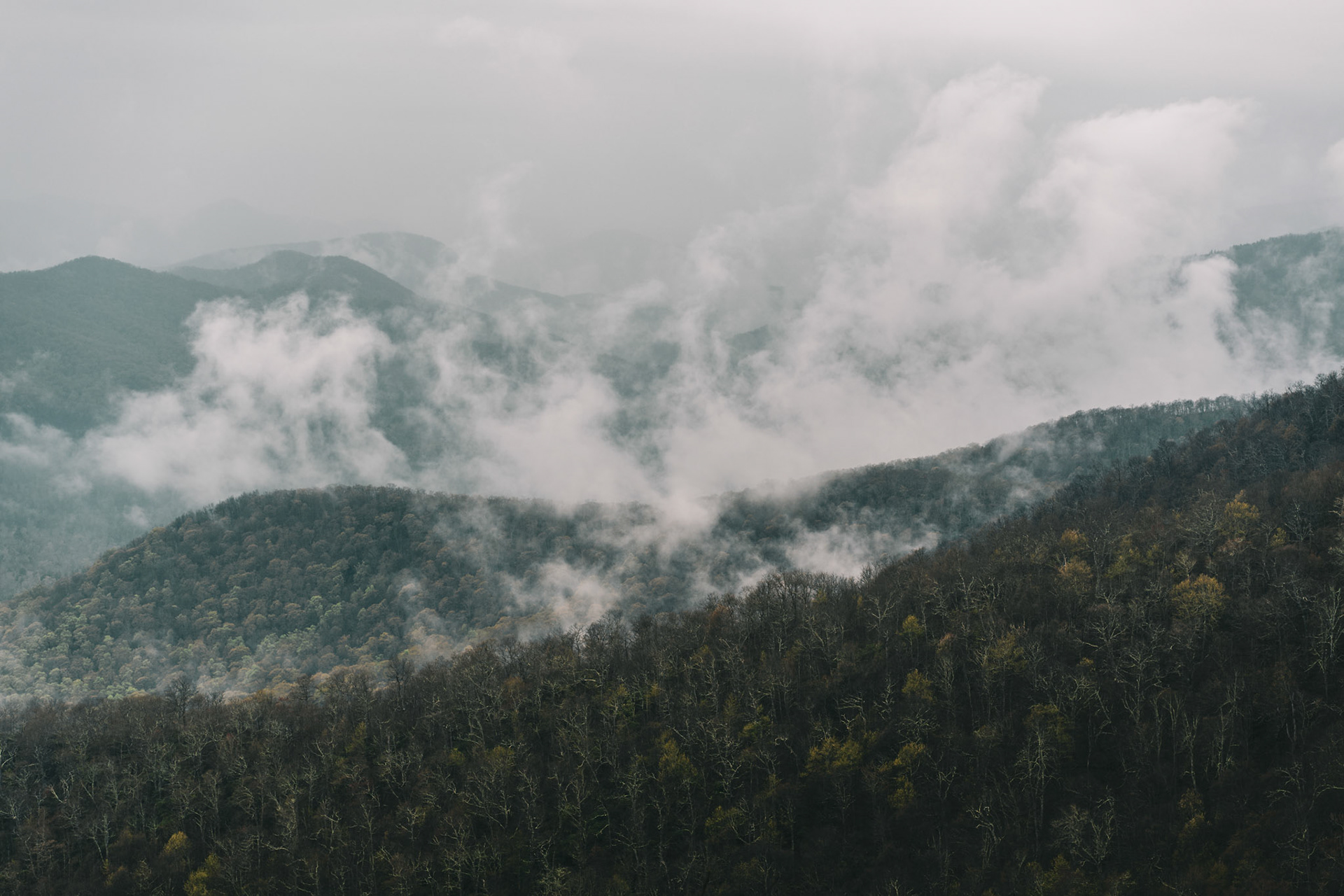 Blue Ridge Mountains, Asheville, NC