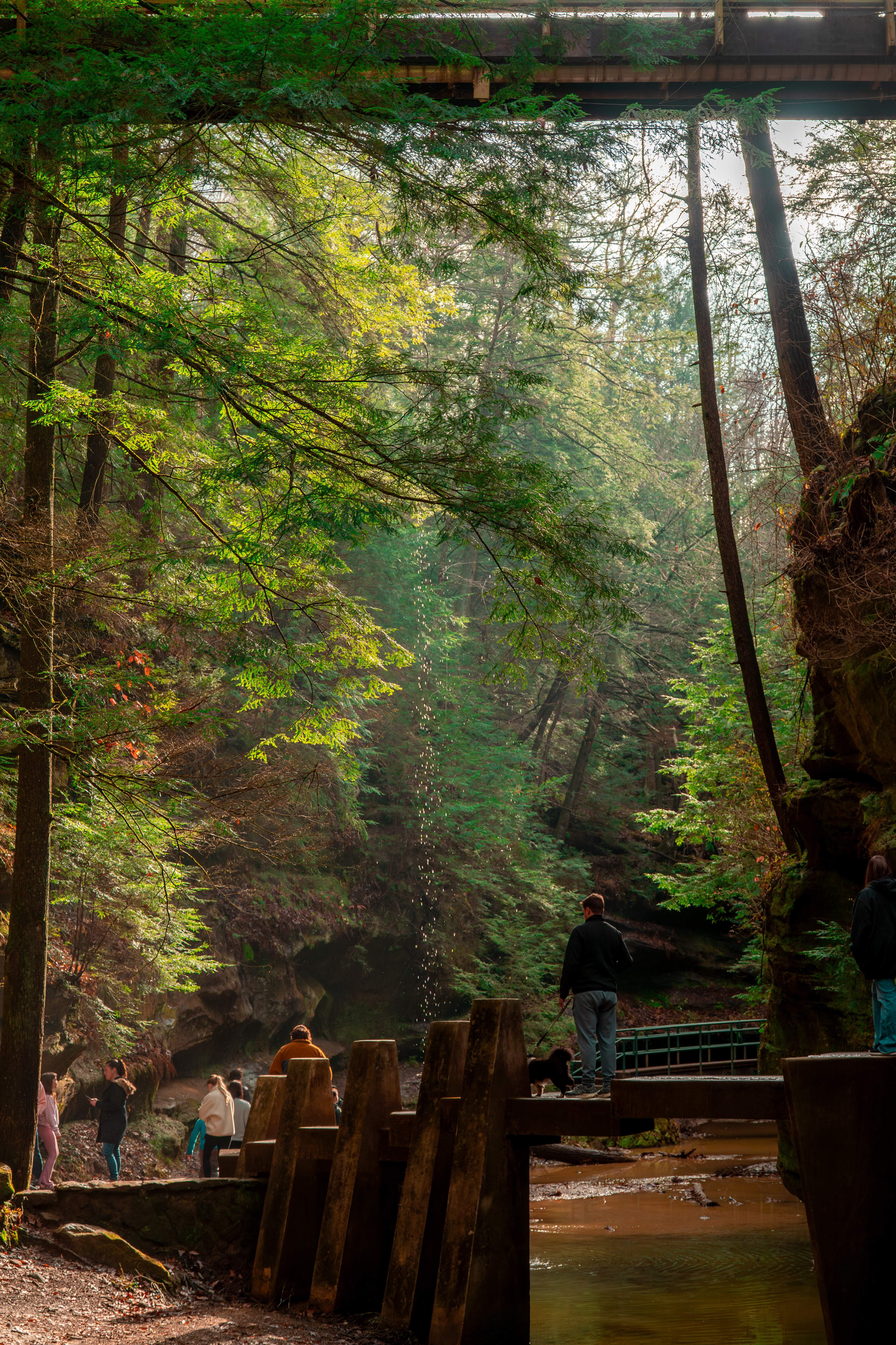 Hocking Hills State Park - November