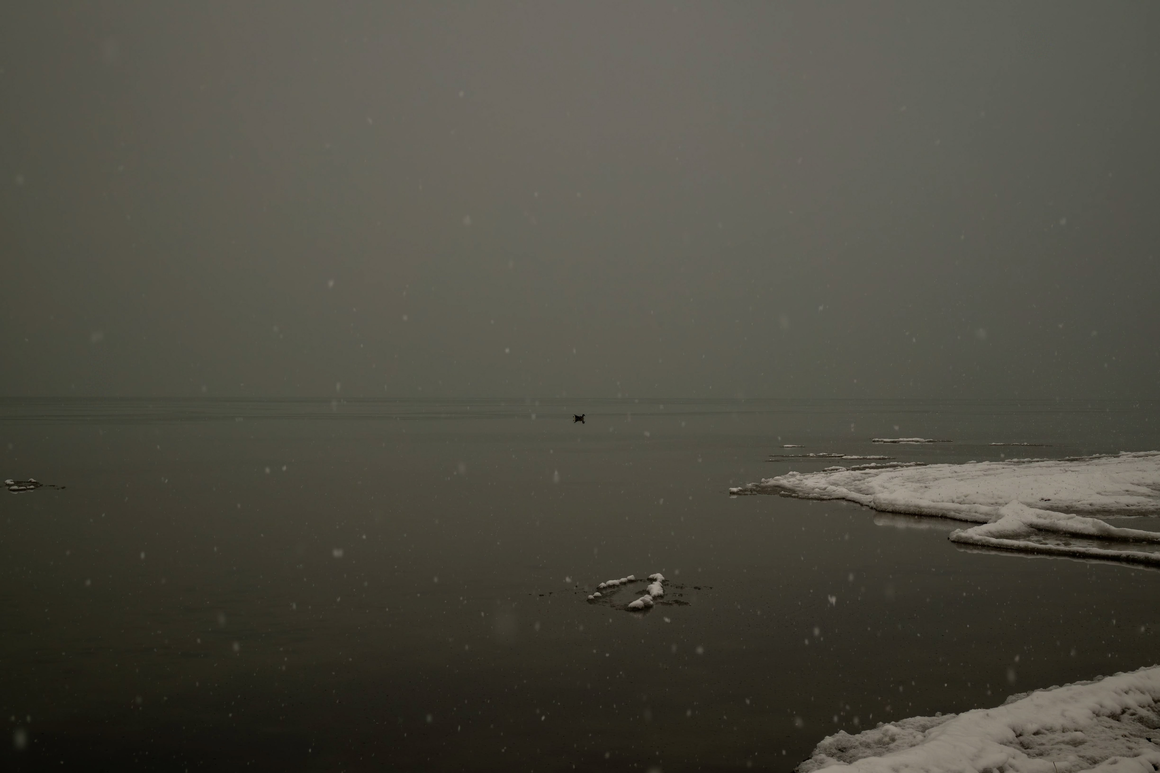 Luna Pier, MI - December