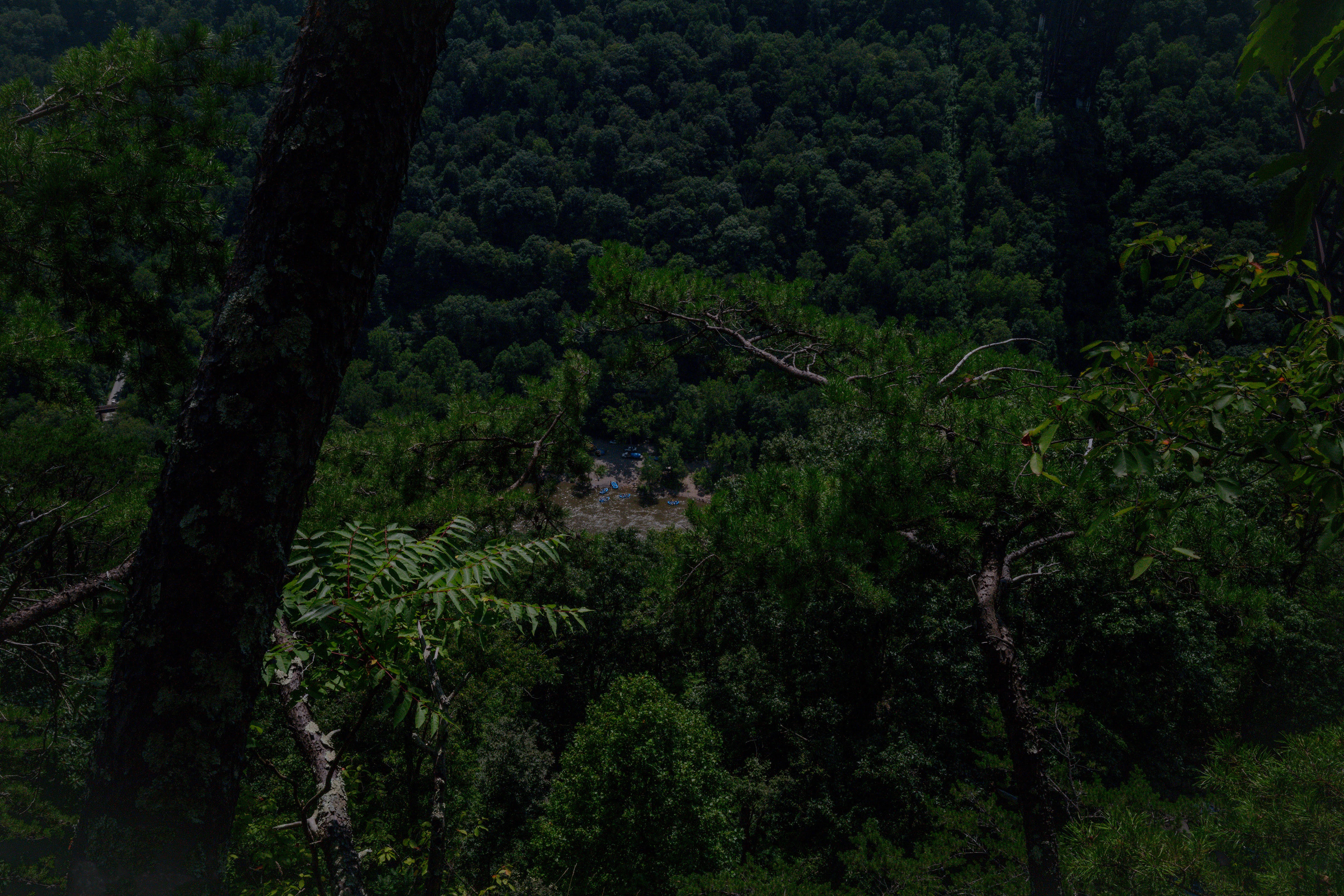 New River Gorge. Victor, WV - August