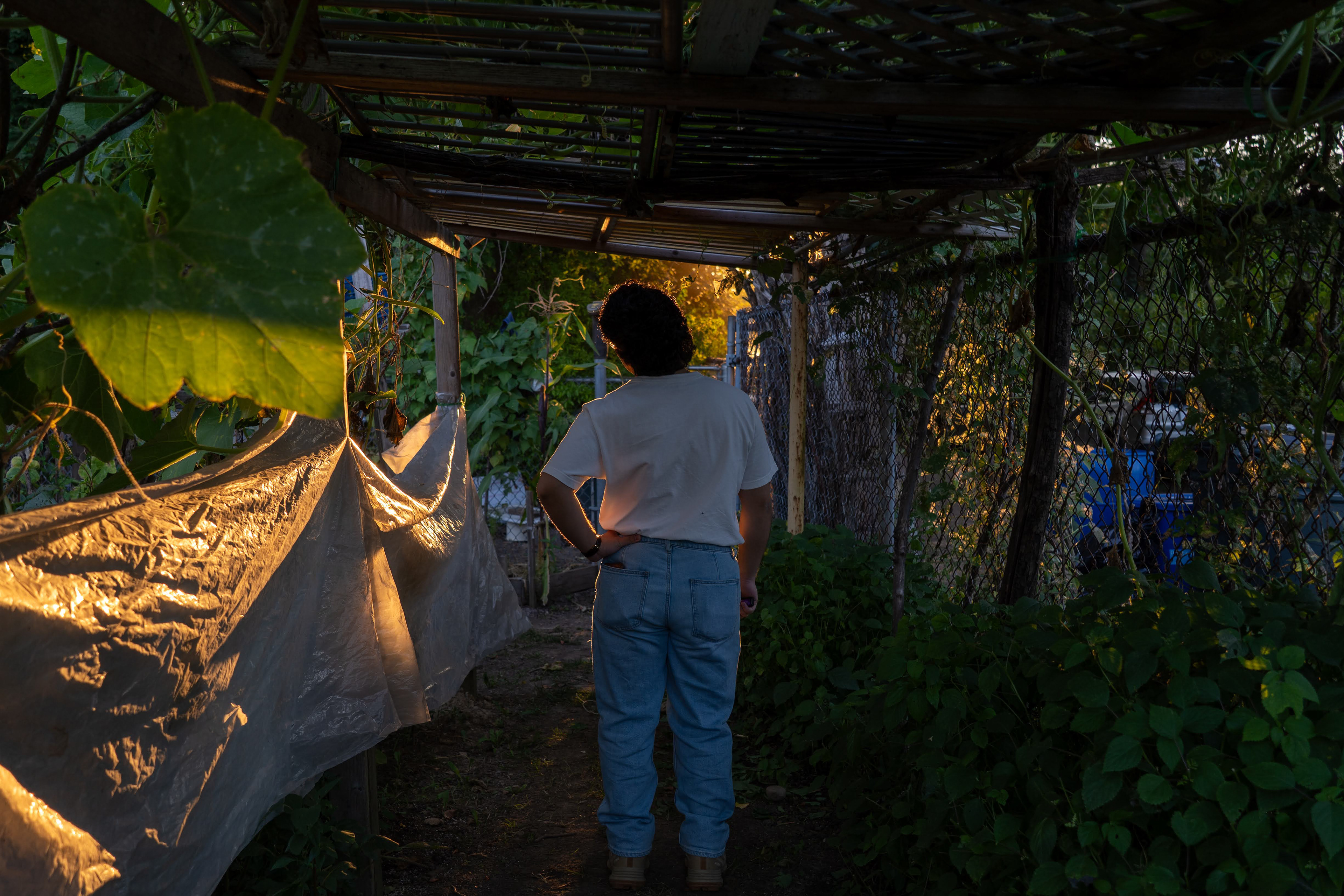 Akron Cooperative Farms - September