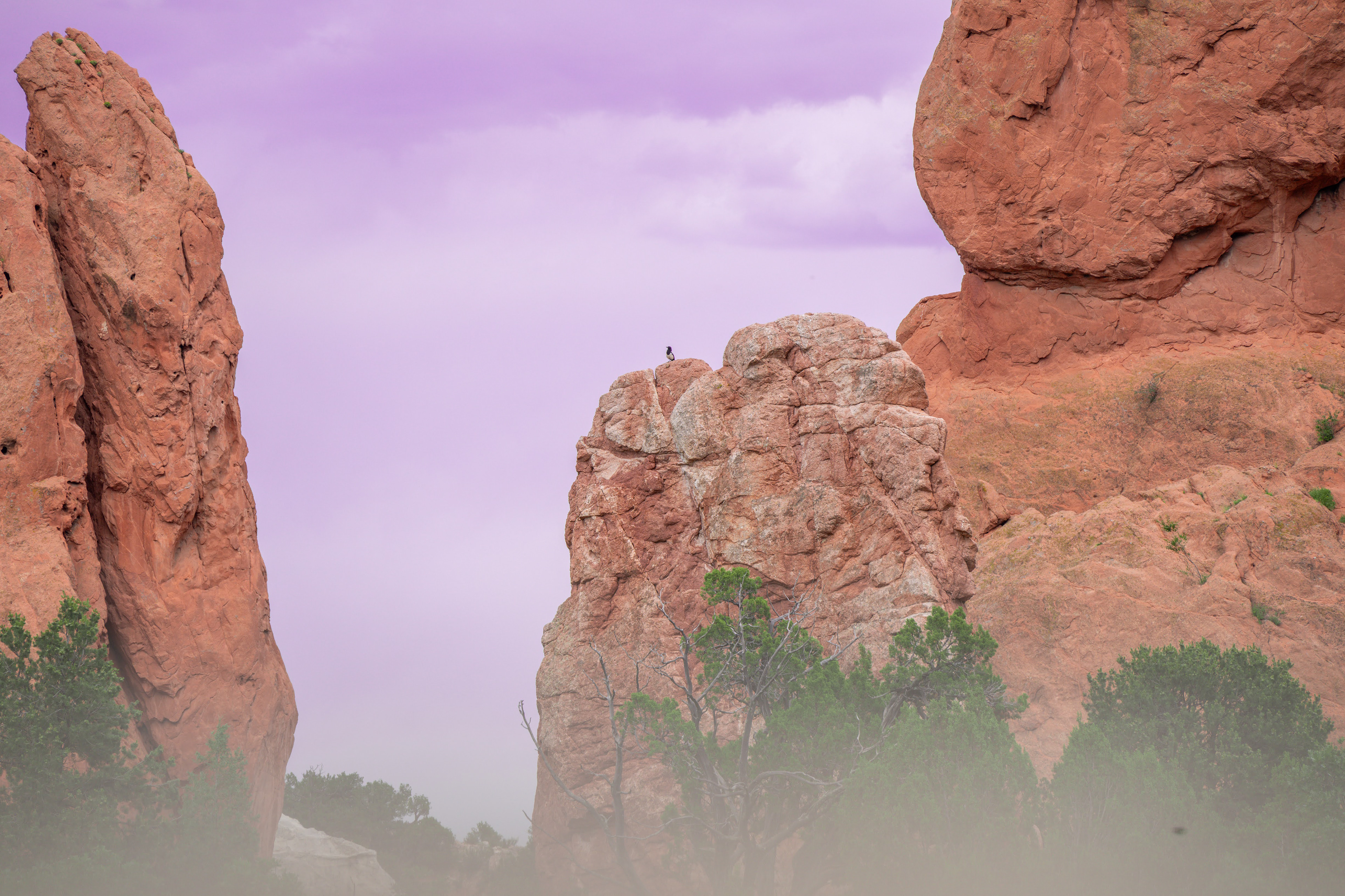 Garden of the Gods. Centennial, CO - July 