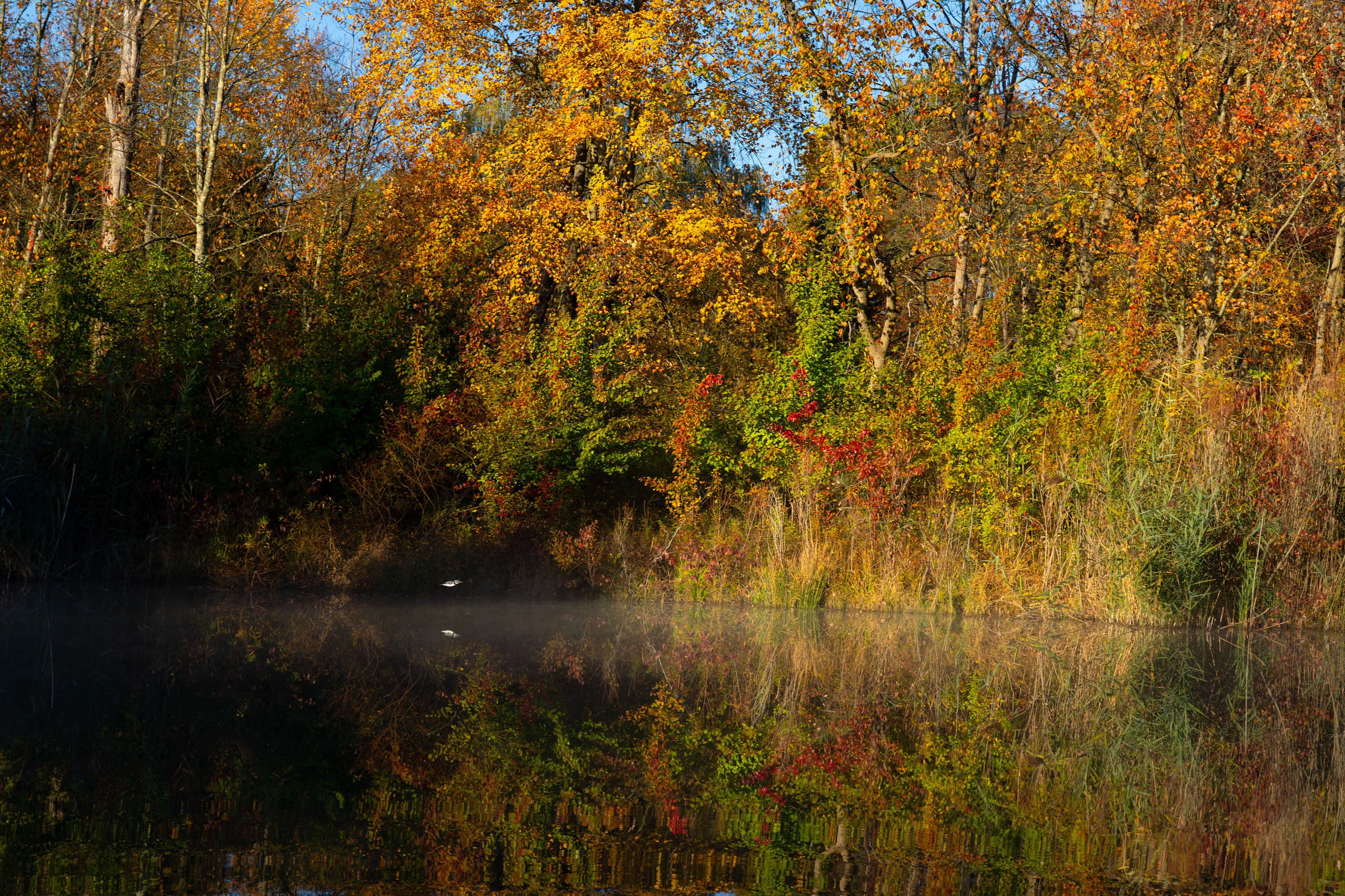 Hudson, OH - October