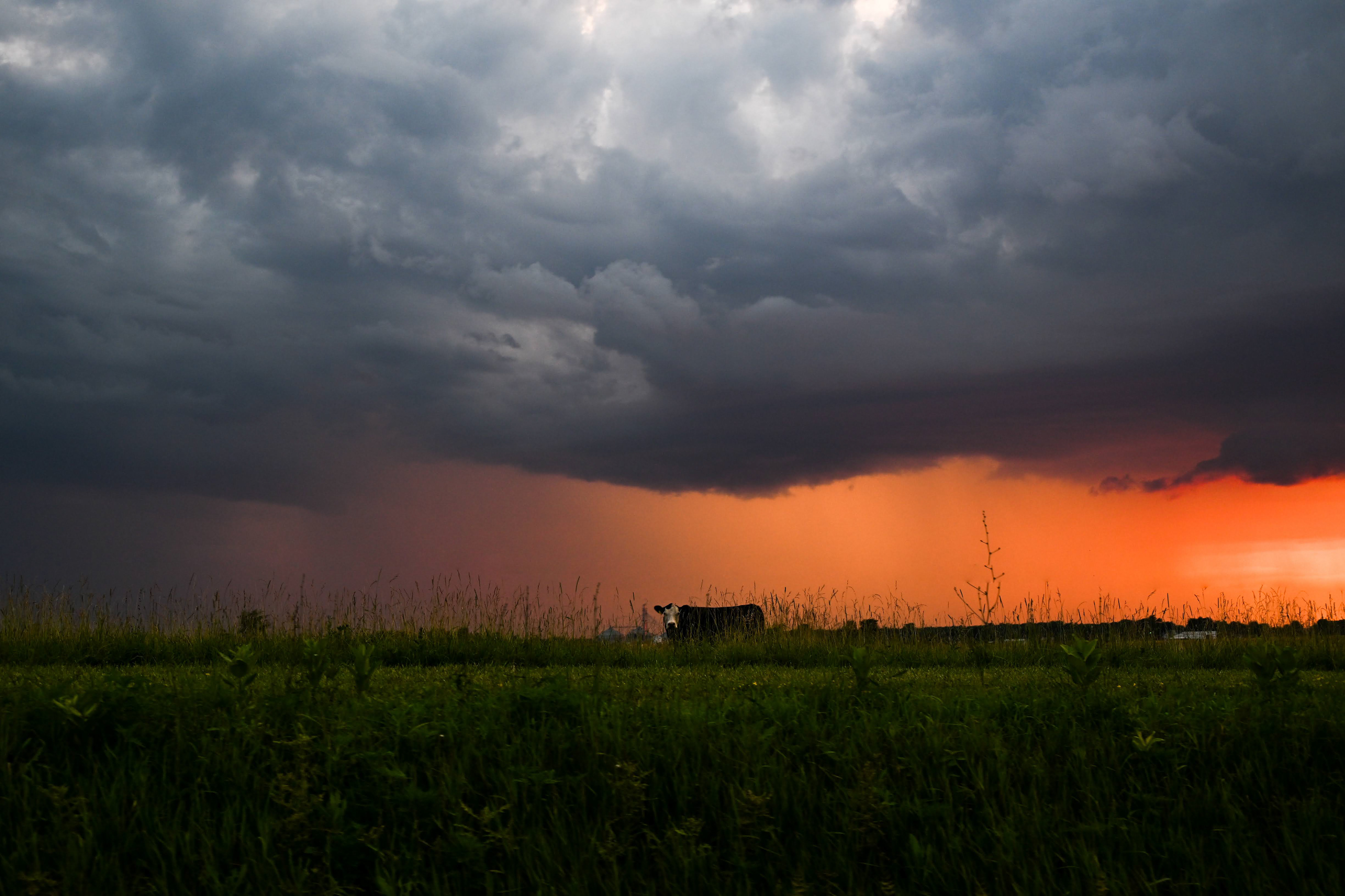 Wayne County, OH - July