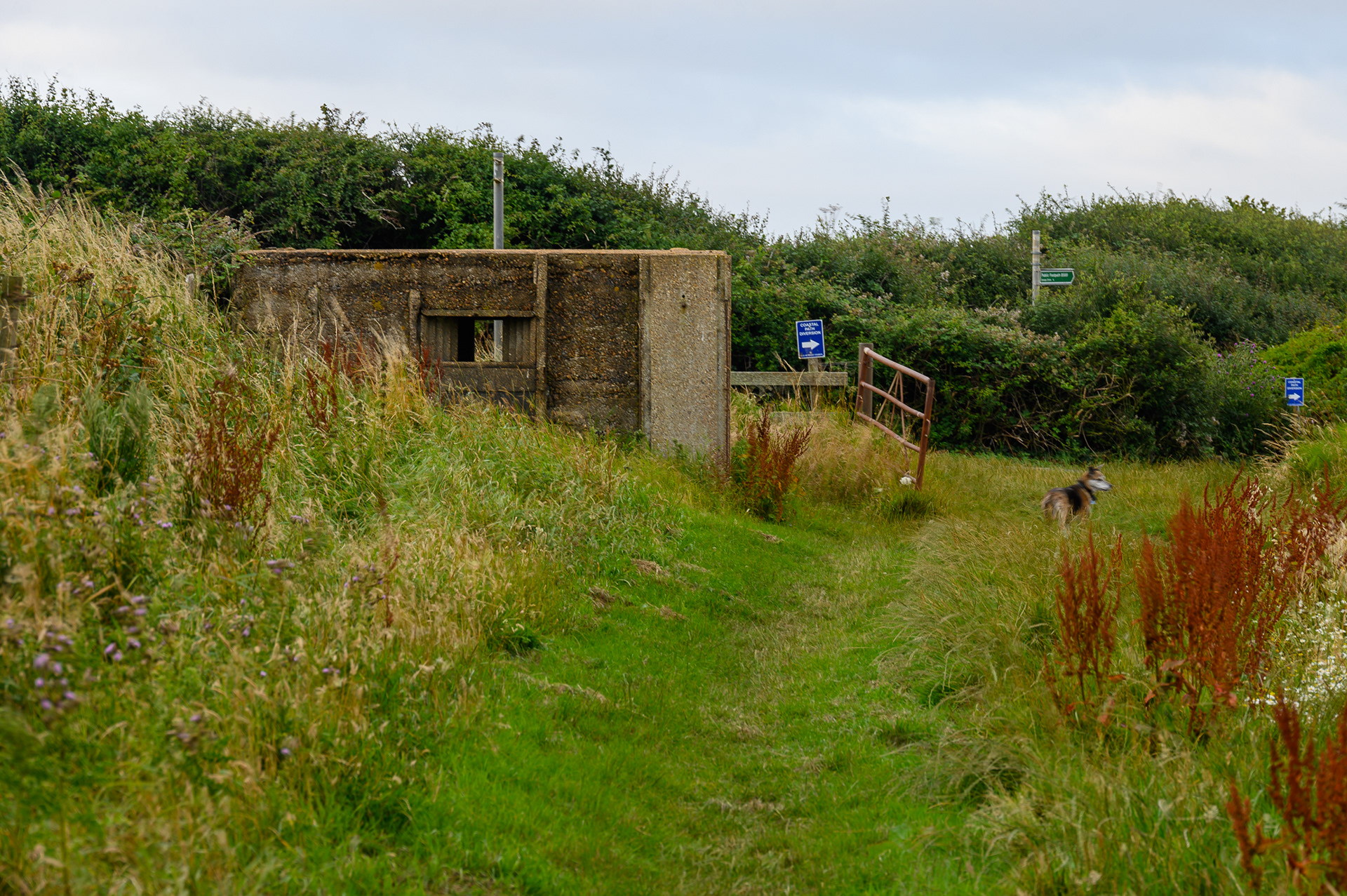 alter Bunker