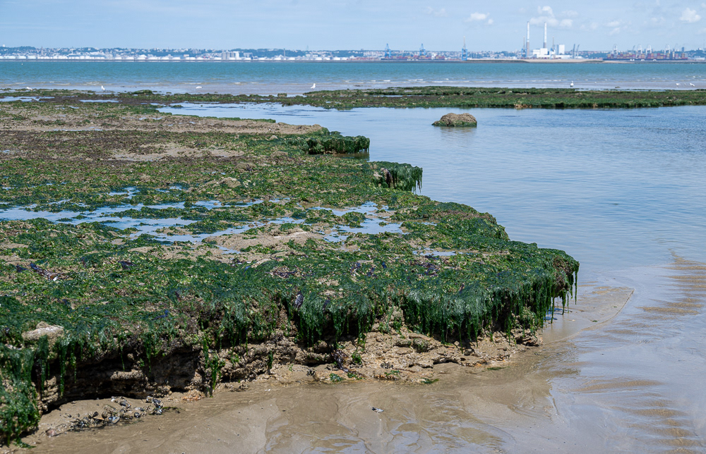 Strand von Villerville