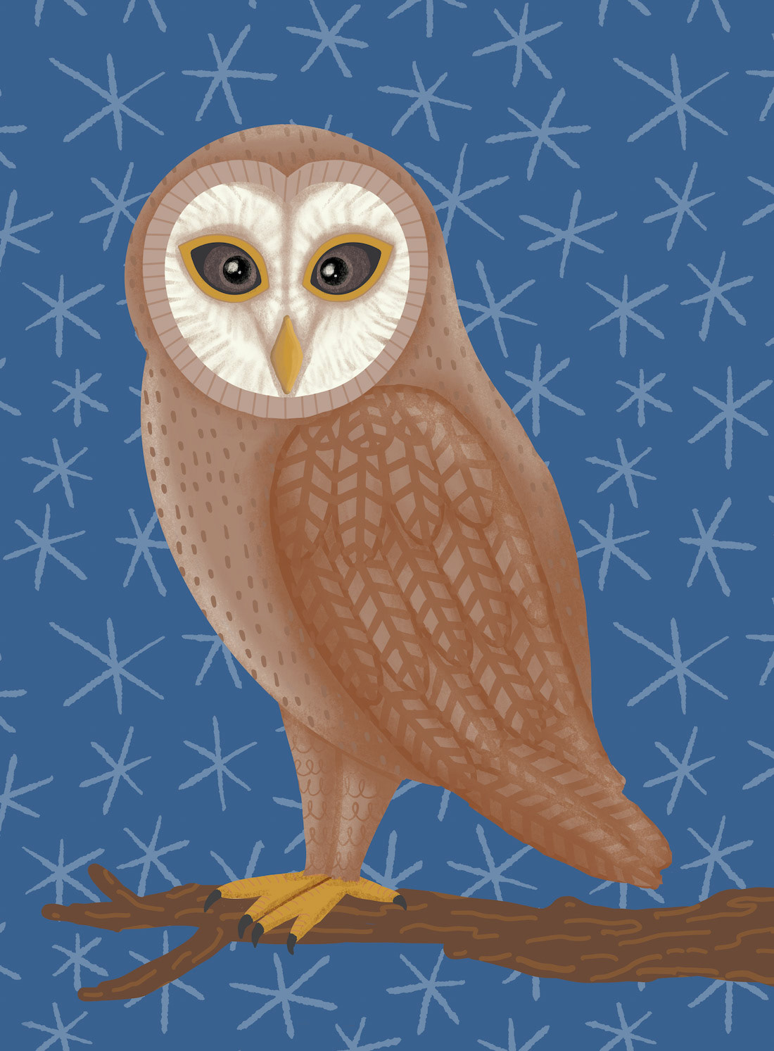Starry Barn Owl