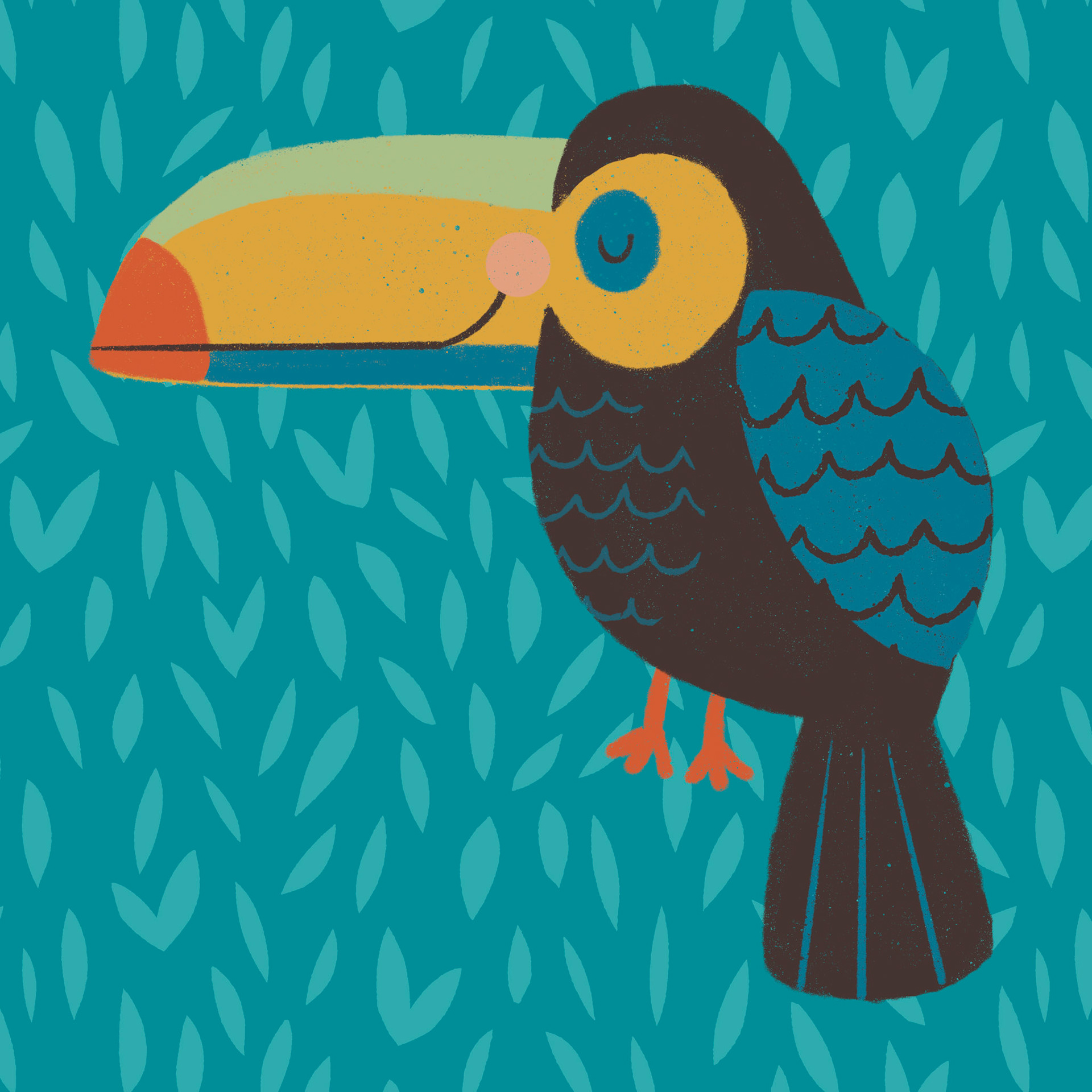 Toucan