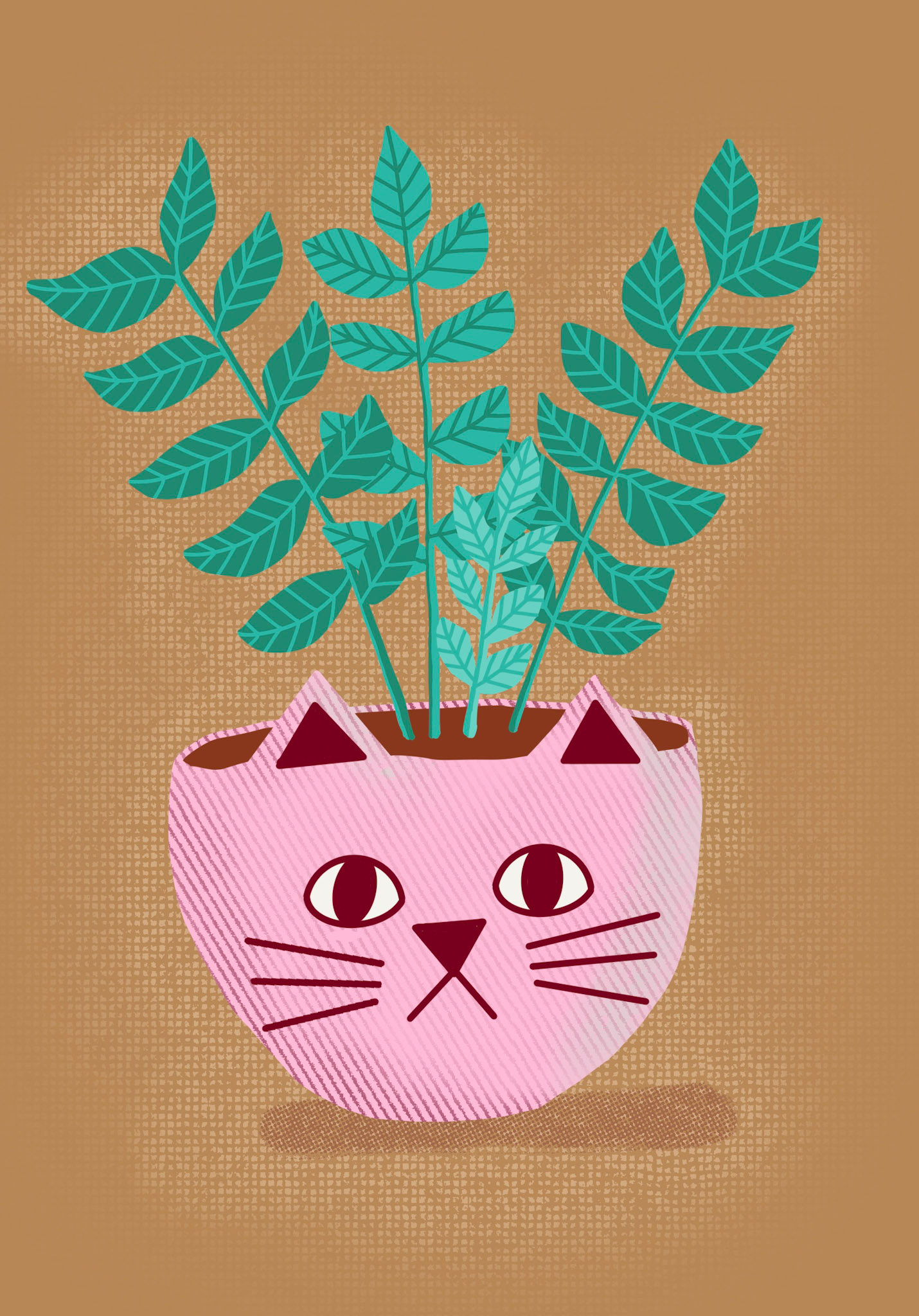 ZZ Plant