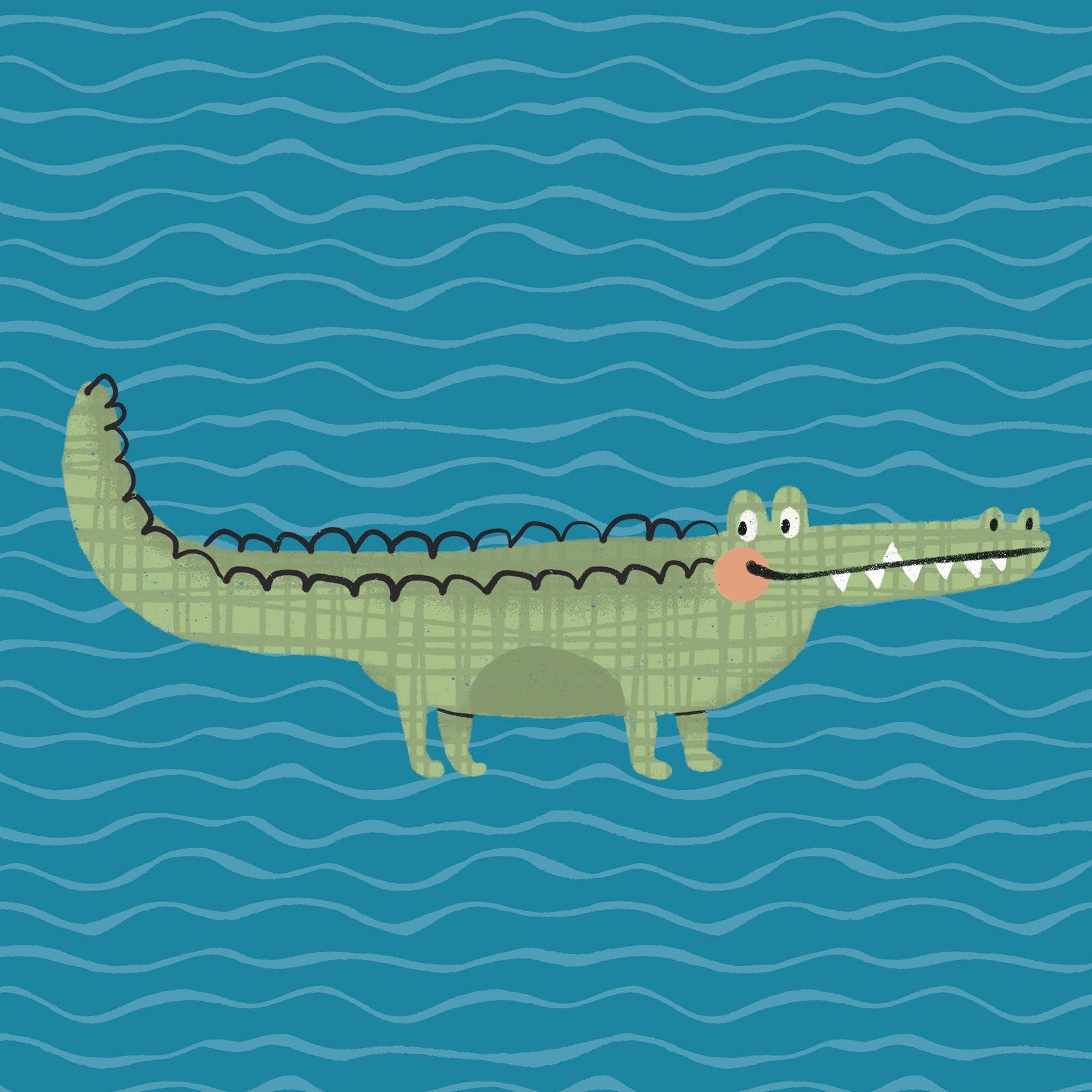 Crocodile