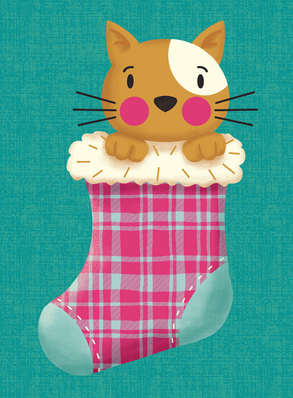 Cat Stocking