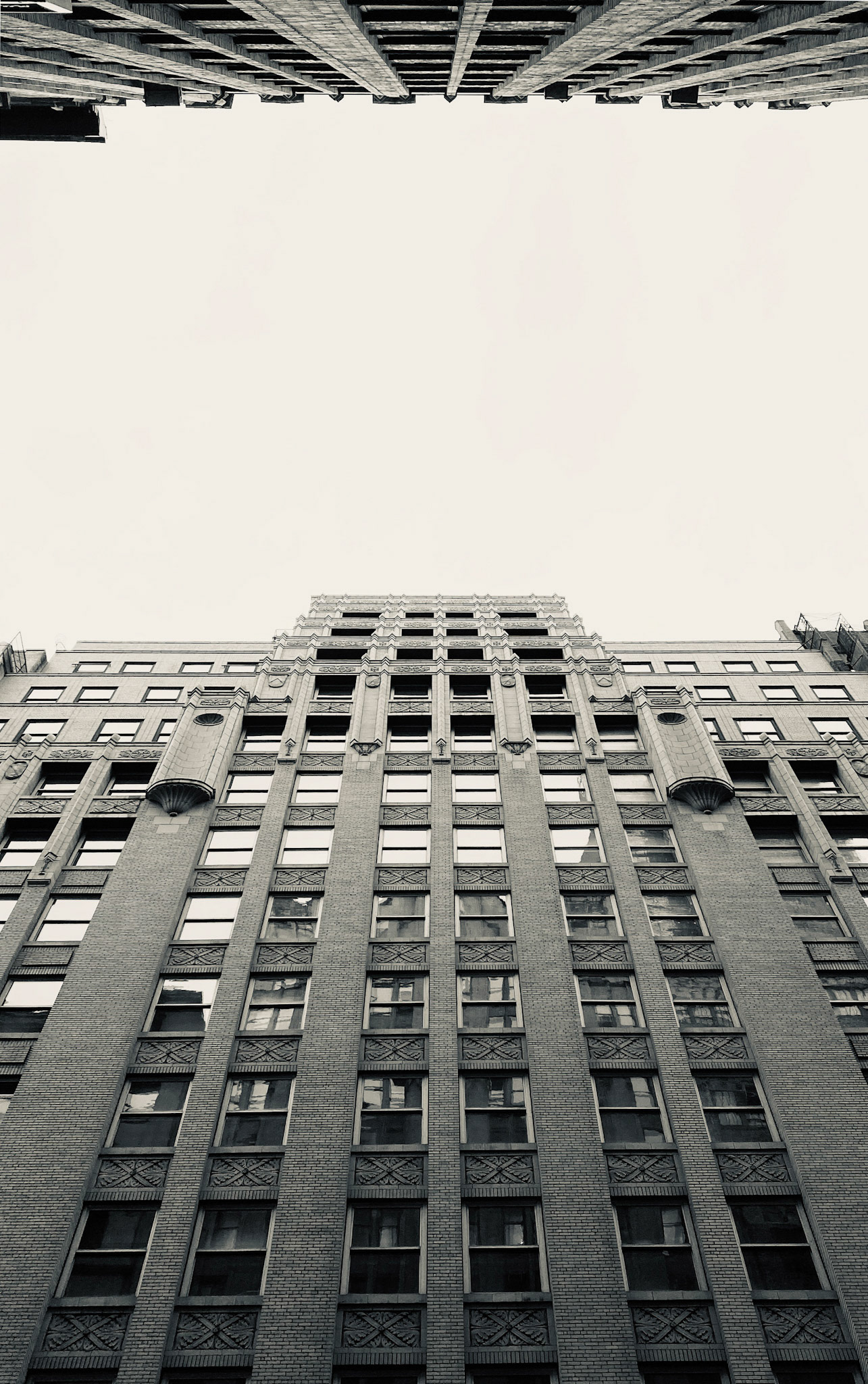 BW-MO-08