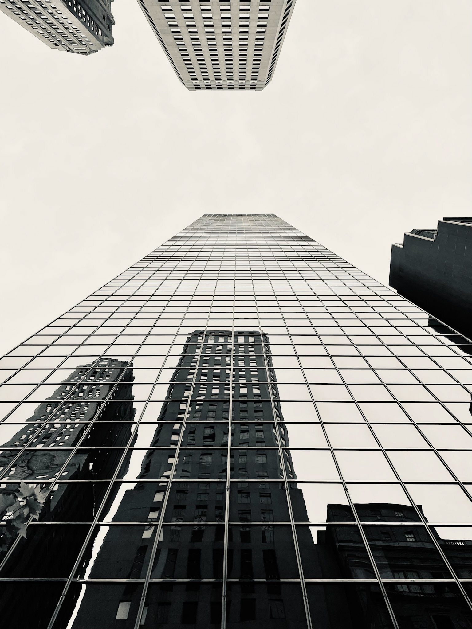 BW-MO-116