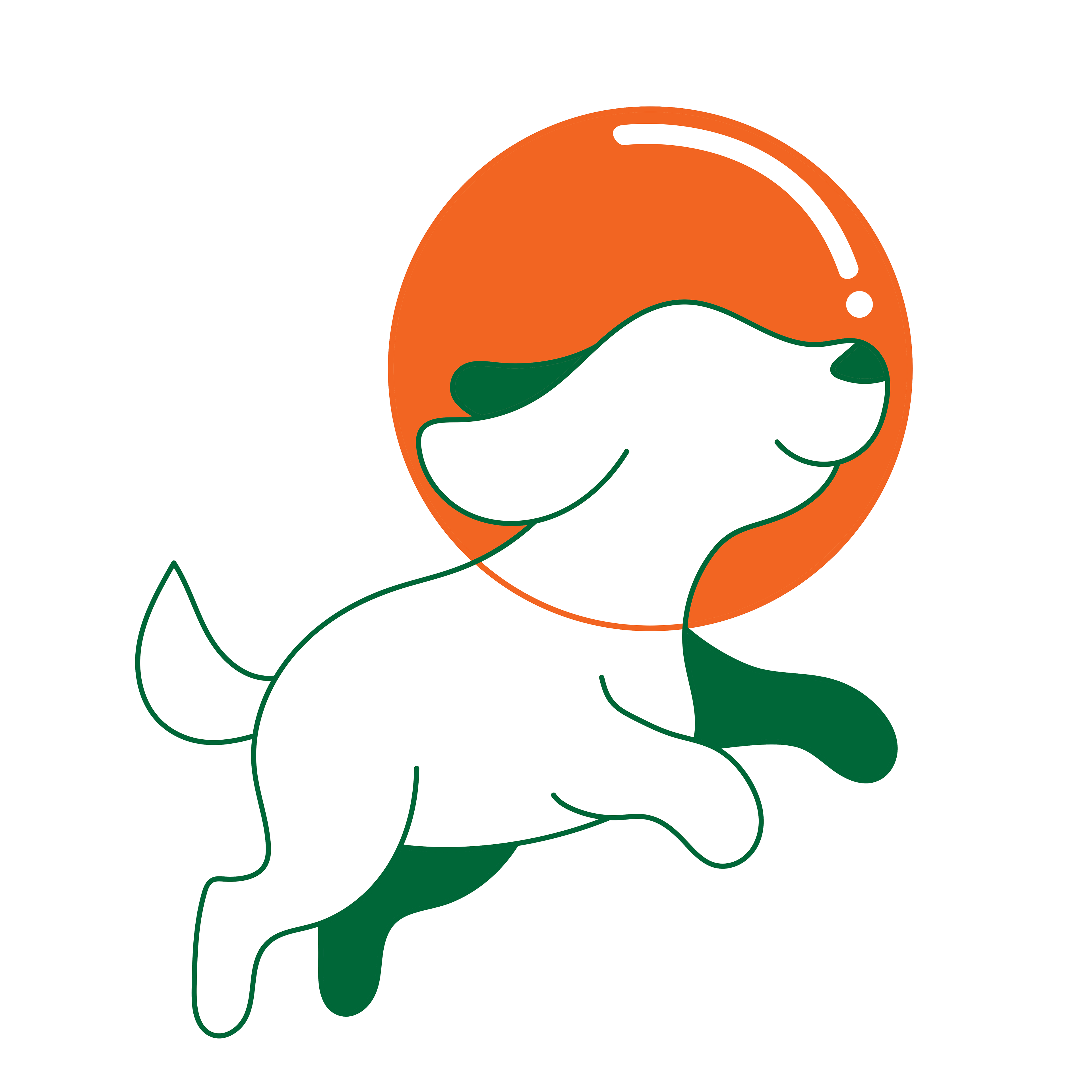 Procyon