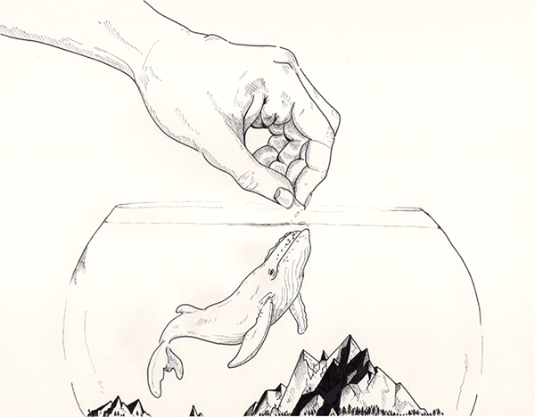 Scale and Porportion
