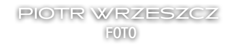 Piotr Wrzeszcz